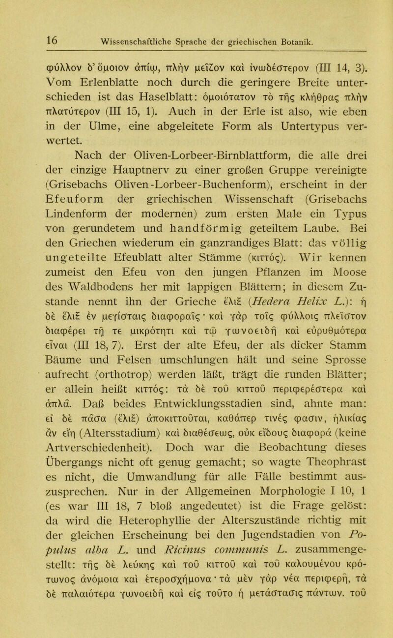 cpuXXov 5’ öpoiov aTTtuj, ttXf|V peT£ov Kai ivajöeaxepov (III 14, 3). Vom Erlenblatte noch durch die geringere Breite unter- schieden ist das Haselblatt: opoiÖTaxov tö Trjs KXf|0pas TrXfjv TrXaxuxepov (III 15, 1). Auch in der Erle ist also, wie eben in der Ulme, eine abgeleitete Fot*m als Untertypus ver- wertet. Nach der Oliven-Lorbeer-Birnblattform, die alle drei der einzige Hauptnerv zu einer großen Gruppe vereinigte (Grisebachs Oliven-Lorbeer-Buchenform), erscheint in der Efeuform der griechischen Wissenschaft (Grisebachs Lindenform der modernen) zum ersten Male ein Typus von gerundetem und handförmig geteiltem Laube. Bei den Griechen wiederum ein ganzrandiges Blatt: das völlig ungeteilte Efeublatt alter Stämme (kittos). Wir kennen zumeist den Efeu von den jungen Pflanzen im Moose des Waldbodens her mit lappigen Blättern; in diesem Zu- stande nennt ihn der Grieche eXiH (Hedera Helix L.)\ rj öe eXiH ev peyicTTais öiaqpopais * i<ai ydp xois cpuXXois TrXeiaxov öiacpepei rrj Te piKpoxrixi Kai xuj ywvoeiöfi Kai eupuöpoxepa eivai (III 18, 7). Erst der alte Efeu, der als dicker Stamm Bäume und Felsen umschlungen hält und seine Sprosse aufrecht (orthotrop) werden läßt, trägt die runden Blätter; er allein heißt kittos: toc öe xou kittou Trepiqpepeaxepa Kai anXä. Daß beides Entwicklungsstadien sind, ahnte man: ei öe uacra (e'XiE) aTTOKiTTOuxai, KaGairep xives qpacnv, fjXudas av eiV| (Altersstadium) Kai öiaBecreuus, ouk eiöous ötacpopa (keine Artverschiedenheit). Doch war die Beobachtung dieses Übergangs nicht oft genug gemacht; so wagte Theophrast es nicht, die Umwandlung für alle Fälle bestimmt aus- zusprechen. Nur in der Allgemeinen Morphologie I 10, 1 (es war III 18, 7 bloß angedeutet) ist die Frage gelöst: da wird die Heterophyllie der Alterszustände richtig mit der gleichen Erscheinung bei den Jugendstadien von Po- pulus alba L. und Ricinus communis L. zusammenge- stellt: xfjs öe XeuKiis Kai xou kittou Kai xou KaXoupevou Kpö- tuuvos dvöpoia Kai exepocrxiipova * xd pev yap vea Txepiqpepii, xd öe TiaXaiÖTepa fuivoeiöf) Kai eis toüto f| peTdaxacns TidvTuuv. xou