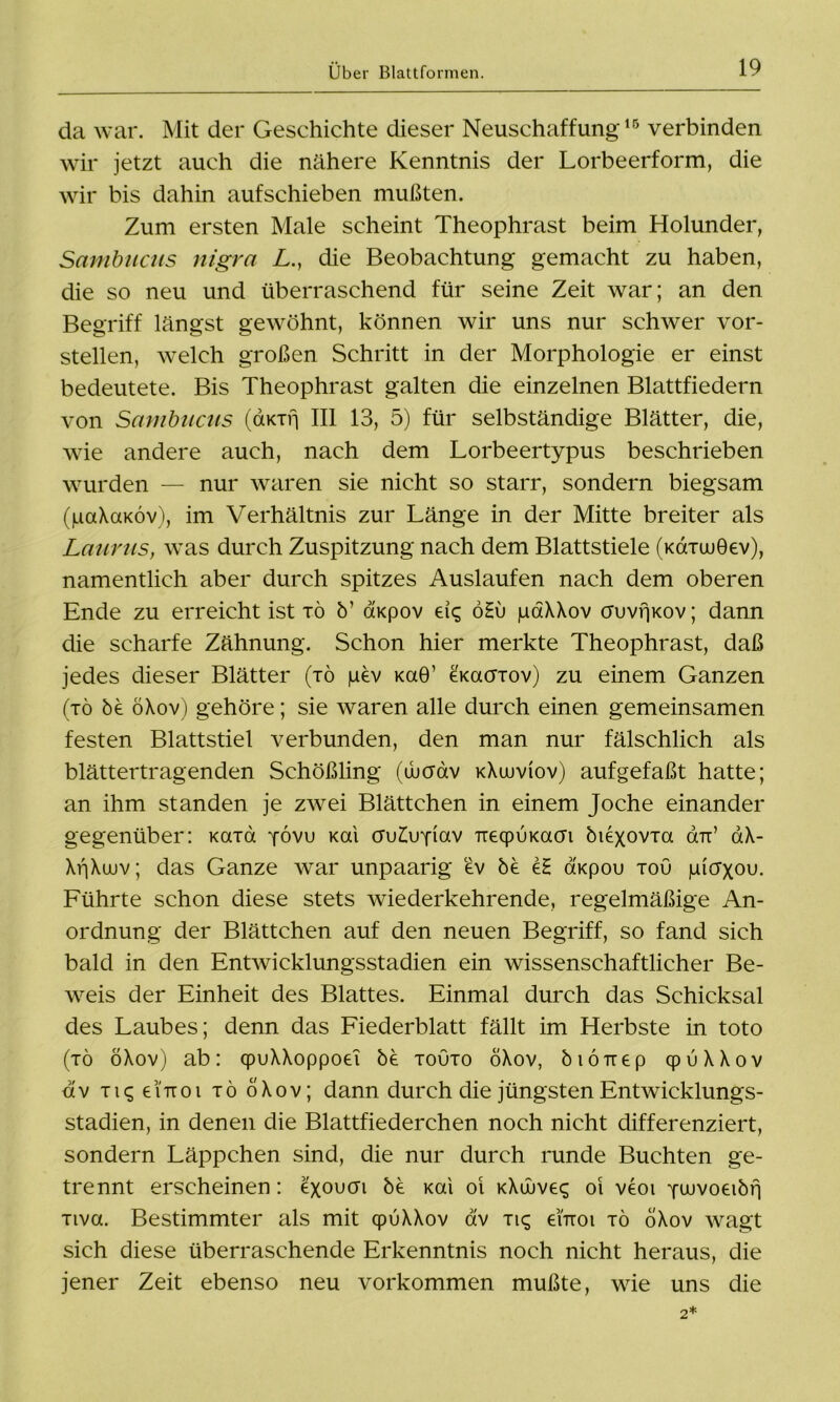 da war. Mit der Geschichte dieser Neuschaffung16 verbinden wir jetzt auch die nähere Kenntnis der Lorbeerform, die wir bis dahin aufschieben mußten. Zum ersten Male scheint Theophrast beim Holunder, Sambucus nigra L., die Beobachtung gemacht zu haben, die so neu und überraschend für seine Zeit war; an den Begriff längst gewöhnt, können wir uns nur schwer vor- stellen, welch großen Schritt in der Morphologie er einst bedeutete. Bis Theophrast galten die einzelnen Blattfiedern von Sambucas (aKTfj III 13, 5) für selbständige Blätter, die, wie andere auch, nach dem Lorbeertypus beschrieben wurden — nur waren sie nicht so starr, sondern biegsam (paXaxöv), im Verhältnis zur Länge in der Mitte breiter als Laurus, was durch Zuspitzung nach dem Blattstiele (kütuu0€v), namentlich aber durch spitzes Auslaufen nach dem oberen Ende zu erreicht ist tö b’ dxpov eig öHü paXXov cruvfjKov; dann die scharfe Zähnung. Schon hier merkte Theophrast, daß jedes dieser Blätter (tö pev xaO1 exacFTov) zu einem Ganzen (tö be öXov) gehöre; sie waren alle durch einen gemeinsamen festen Blattstiel verbunden, den man nur fälschlich als blättertragenden Schößling (tbcrdv kXwv(ov) aufgefaßt hatte; an ihm standen je zwei Blättchen in einem Joche einander gegenüber: Kcrrd fövu kou cnj£uYiav TrecpÜKacn biexovra otrc’ aX- XfiXwv; das Ganze war unpaarig ev be e£ axpou tou picrxou. Führte schon diese stets wiederkehrende, regelmäßige An- ordnung der Blättchen auf den neuen Begriff, so fand sich bald in den Entwicklungsstadien ein wissenschaftlicher Be- weis der Einheit des Blattes. Einmal durch das Schicksal des Laubes; denn das Fiederblatt fällt im Herbste in toto (tö öXov) ab: qpuXXoppoei be touto ÖXov, biöirep qpuXXov dv tu; eiTioi tö öXov; dann durch die jüngsten Entwicklungs- stadien, in denen die Blattfiederchen noch nicht differenziert, sondern Läppchen sind, die nur durch runde Buchten ge- trennt erscheinen: exoucn be xai oi KXüuvec; oi veoi Ywvoeibrj Tiva. Bestimmter als mit qpuXXov dv ti<; emoi tö öXov wagt sich diese überraschende Erkenntnis noch nicht heraus, die jener Zeit ebenso neu Vorkommen mußte, wie uns die