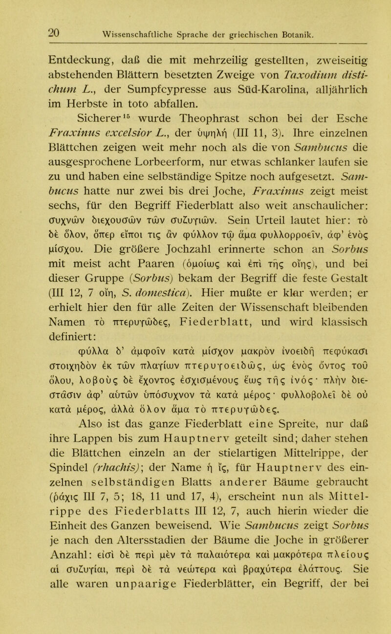 Entdeckung, daß die mit mehrzeilig gestellten, zweiseitig- abstehenden Blättern besetzten Zweige von Taxodium disti- chum L., der Sumpfcypresse aus Süd-Karolina, alljährlich im Herbste in toto abfallen. Sicherer15 wurde Theophrast schon bei der Esche Fraxinus excelsior L., der uipr|Xf| (III 11, 3). Ihre einzelnen Blättchen zeigen weit mehr noch als die von Sambucus die ausgesprochene Lorbeerform, nur etwas schlanker laufen sie zu und haben eine selbständige Spitze noch aufgesetzt. Sam- bucus hatte nur zwei bis drei Joche, Frcixinns zeigt meist sechs, für den Begriff Fiederblatt also weit anschaulicher: cruxvüuv biexoucrüuv xwv ou£uyiüjv. Sein Urteil lautet hier: tö be öXov, ÖTiep ei'xroi xiq av qpuXXov tuj dpa qpuXXoppoeiv, dcp’ kvöc, piaxou. Die größere Jochzahl erinnerte schon an Sorbits mit meist acht Paaren (öpoiuus Kai erri xf|<; oi'rjq), und bei dieser Gruppe (Sorbits) bekam der Begriff die feste Gestalt (III 12, 7 oiV|, S. doniesticä). Hier mußte er klar werden; er erhielt hier den für alle Zeiten der Wissenschaft bleibenden Namen xö irxepoyaibe^, Fiederblatt, und wird klassisch definiert: qpuXXa b’ apcpoiv Kaxd picrxov paKpöv ivoeibvj rrecpuKacn axoixilböv ök xüuv rrXayiaiv irxepupoeibuj^, uu<; kvbc, övxoq xou öXou, Xoßou^ bk ex°VT0<5 ecrxicrpevou^ euu«; xrjs ivö^’ TiXijv bie- crxdcnv aqp’ auxwv uttöcfuxvov xd Kaxd pepoq * qpuXXoßoXeT be ou Kaxd pepoc;, aXXa ÖXov dpa xö TrxepuYuubec;. Also ist das ganze Fiederblatt eine Spreite, nur daß ihre Lappen bis zum Hauptnerv geteilt sind; daher stehen die Blättchen einzeln an der stielartigen Mittelrippe, der Spindel (rhachis); der Name rj i'q, für Haupt nerv des ein- zelnen selbständigen Blatts anderer Bäume gebraucht (paxiq III 7, 5; 18, 11 und 17, 4), erscheint nun als Mittel- rippe des Fiederblatts III 12, 7, auch hierin wieder die Einheit des Ganzen beweisend. Wie Sambucas zeigt Sorbus je nach den Altersstadien der Bäume die Joche in größerer Anzahl: eioi be Trepi pev xd naXaiöxepa Kai paKpöxepa uXeiou^ ai cruAif-iai, Tiepi bk xd veuuxepa Kai ßpaxuxepa eXaxxouq. Sie alle waren unpaarige Fiederblätter, ein Begriff, der bei