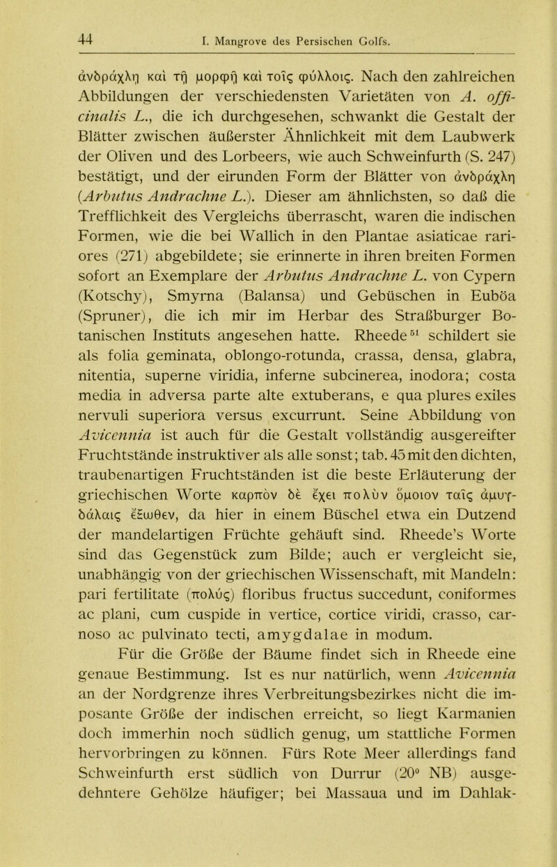 dvbpaxXr] Kai Tr) juopqpfl Kai toiq qpuXXoi^. Nach den zahlreichen Abbildungen der verschiedensten Varietäten von A. offi- cinalis die ich durchgesehen, schwankt die Gestalt der Blätter zwischen äußerster Ähnlichkeit mit dem Laubwerk der Oliven und des Lorbeers, wie auch Schweinfurth (S. 247) bestätigt, und der eirunden Form der Blätter von avbpdxXri (.Arbutus Andrachne L.). Dieser am ähnlichsten, so daß die Trefflichkeit des Vergleichs überrascht, waren die indischen Formen, wie die bei Wallich in den Plantae asiaticae rari- ores (271) abgebildete; sie erinnerte in ihren breiten Formen sofort an Exemplare der Arbutus Andrachne L. von Cypern (Kotschy), Smyrna (Balansa) und Gebüschen in Euböa (Spruner), die ich mir im Herbar des Straßburger Bo- tanischen Instituts angesehen hatte. Rheede51 schildert sie als folia geminata, oblongo-rotunda, crassa, densa, glabra, nitentia, superne viridia, inferne subcinerea, inodora; costa media in adversa parte alte extuberans, e qua plures exiles nervuli superiora versus excurrunt. Seine Abbildung von Avicennia ist auch für die Gestalt vollständig ausgereifter Fruchtstände instruktiver als alle sonst; tab.45mit den dichten, traubenartigen Fruchtständen ist die beste Erläuterung der griechischen Worte Kapiröv be e\ei ttoXuv öjuoiov xai£ aguy- baXai<; eHuuÖev, da hier in einem Büschel etwa ein Dutzend der mandelartigen Früchte gehäuft sind. Rheede’s Worte sind das Gegenstück zum Bilde; auch er vergleicht sie, unabhängig von der griechischen Wissenschaft, mit Mandeln: pari fertilitate (ttoXu^) floribus fructus succedunt, coniformes ac plani, cum cuspide in vertice, cortice viridi, crasso, car- noso ac pulvinato tecti, amygdalae in modum. Für die Größe der Bäume findet sich in Rheede eine genaue Bestimmung. Ist es nur natürlich, wenn Avicennia an der Nordgrenze ihres Verbreitungsbezirkes nicht die im- posante Größe der indischen erreicht, so liegt Karmanien doch immerhin noch südlich genug, um stattliche Formen hervorbringen zu können. Fürs Rote Meer allerdings fand Schweinfurth erst südlich von Durrur (20° NB) ausge- dehntere Gehölze häufiger; bei Massaua und im Dahlak-