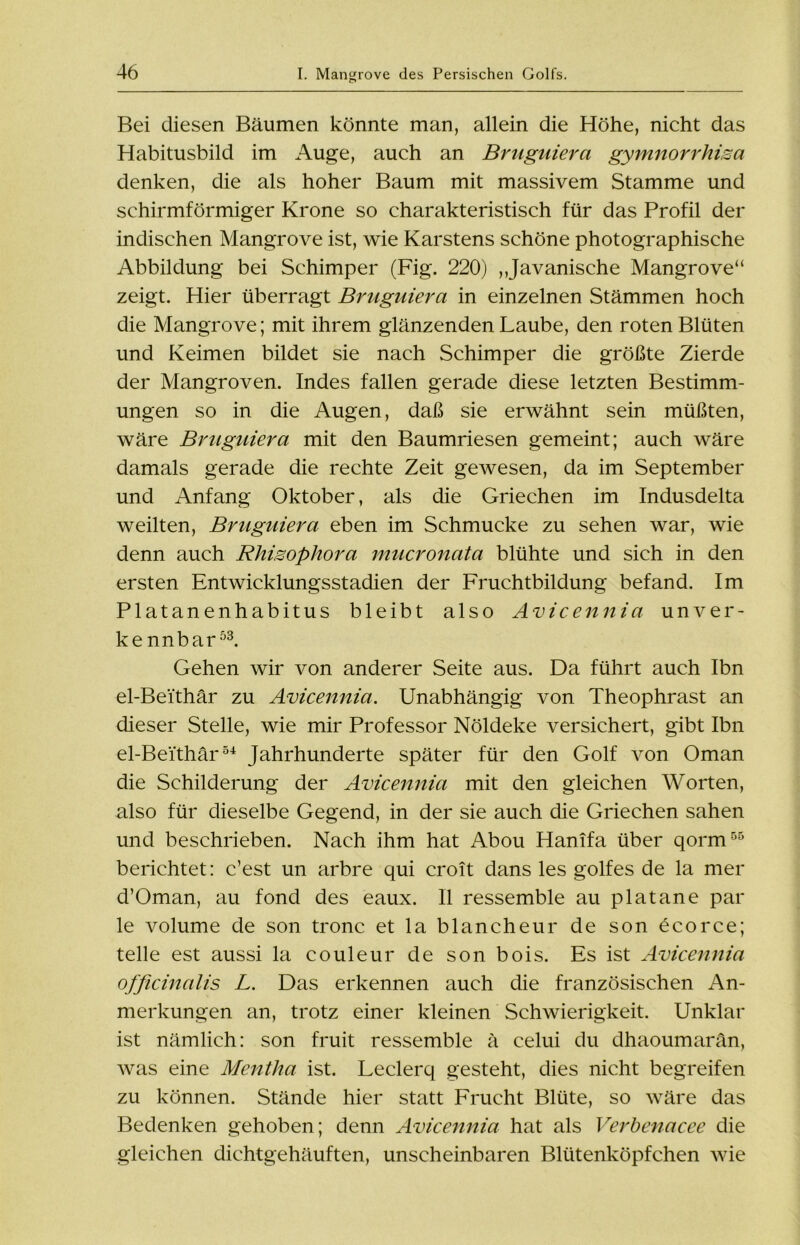 Bei diesen Bäumen könnte man, allein die Höhe, nicht das Habitusbild im Auge, auch an Bruguiera gymnorrhisa denken, die als hoher Baum mit massivem Stamme und schirmförmiger Krone so charakteristisch für das Profil der indischen Mangrove ist, wie Karstens schöne photographische Abbildung bei Schimper (Fig. 220) ,Javanische Mangrove“ zeigt. Hier überragt Bruguiera in einzelnen Stämmen hoch die Mangrove; mit ihrem glänzenden Laube, den roten Blüten und Keimen bildet sie nach Schimper die größte Zierde der Mangroven. Indes fallen gerade diese letzten Bestimm- ungen so in die Augen, daß sie erwähnt sein müßten, wäre Bruguiera mit den Baumriesen gemeint; auch wäre damals gerade die rechte Zeit gewesen, da im September und Anfang Oktober, als die Griechen im Indusdelta weilten, Bruguiera eben im Schmucke zu sehen war, wie denn auch Rhisophora mucronata blühte und sich in den ersten Entwicklungsstadien der Fruchtbildung befand. Im Platanenhabitus bleibt also Avicennia unver- kennbar53. Gehen wir von anderer Seite aus. Da führt auch Ibn el-Beithär zu Avicennia. Unabhängig von Theophrast an dieser Stelle, wie mir Professor Nöldeke versichert, gibt Ibn el-Bei'thär54 Jahrhunderte später für den Golf von Oman die Schilderung der Avicennia mit den gleichen Worten, also für dieselbe Gegend, in der sie auch die Griechen sahen und beschrieben. Nach ihm hat Abou Hanifa über qorm55 berichtet: c’est un arbre qui croit dans les golfes de la mer d’Oman, au fond des eaux. II ressemble au platane par le volume de son tronc et la blancheur de son öcorce; teile est aussi la couleur de son bois. Es ist Avicennia officinalis L. Das erkennen auch die französischen An- merkungen an, trotz einer kleinen Schwierigkeit. Unklar ist nämlich: son fruit ressemble ä celui du dhaoumarän, was eine Mentha ist. Leclerq gesteht, dies nicht begreifen zu können. Stände hier statt Frucht Blüte, so wäre das Bedenken gehoben; denn Avicennia hat als Verbenacee die gleichen dichtgehäuften, unscheinbaren Blütenköpfchen wie