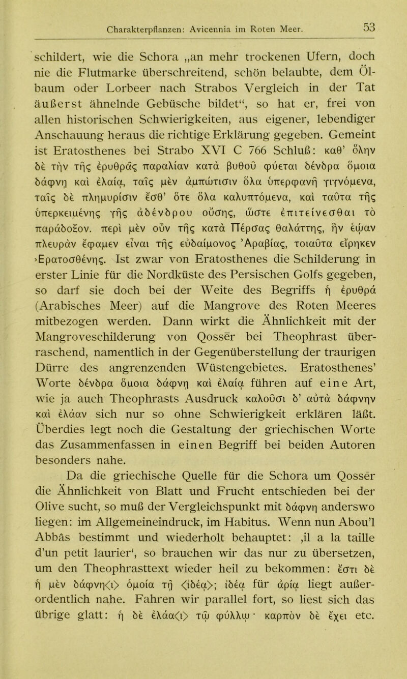 schildert, wie die Schora ,,an mehr trockenen Ufern, doch nie die Flutmarke überschreitend, schön belaubte, dem Öl- baum oder Lorbeer nach Strabos Vergleich in der Tat äußerst ähnelnde Gebüsche bildet“, so hat er, frei von allen historischen Schwierigkeiten, aus eigener, lebendiger Anschauung heraus die richtige Erklärung gegeben. Gemeint ist Eratosthenes bei Strabo XVI C 766 Schluß: kci9’ 6\r|v be if]v ifjc; epuGpaq TrapaXiav mxa ßuGou qpuexai bevbpa öpoia baqpvr] Kai eXaia, xai<; pev apmjuxiö'iv öXa imepcpavfj yifvopeva, xaiq be TiXripupicriv tcrG’ öxe ÖXa KaXimropeva, Kai xauxa xfj^ imepKeipevriq abevbpou ouöT|£, wcrxe eirixeivecrGai tö TiapaboHov. Trepi pev ouv xfjs Kaxa TTepcra^ GaXaxxriq, rjv euuav TiXeupav eqpapev eivai tx\<; eubaipovo^ ’Apaßiac;, xoiauxa eipr|Kev ’EpaxocrÖdvii^. Ist zwar von Eratosthenes die Schilderung in erster Linie für die Nordküste des Persischen Golfs gegeben, so darf sie doch bei der Weite des Begriffs fj epuGpa (Arabisches Meer) auf die Mangrove des Roten Meeres • • mitbezogen werden. Dann wirkt die Ähnlichkeit mit der Mangroveschilderung von Qosser bei Theophrast über- raschend, namentlich in der Gegenüberstellung der traurigen Dürre des angrenzenden Wüstengebietes. Eratosthenes’ Worte bevbpa öpoia baqpvr] Kai eXaia führen auf eine Art, wie ja auch Theophrasts Ausdruck KaXoucn b’ auxa baqpvnv Kai eXdav sich nur so ohne Schwierigkeit erklären läßt. Überdies legt noch die Gestaltung der griechischen Worte das Zusammenfassen in einen Begriff bei beiden Autoren besonders nahe. Da die griechische Quelle für die Schora um Qosser die Ähnlichkeit von Blatt und Frucht entschieden bei der Olive sucht, so muß der Vergleichspunkt mit baqpvrj anderswo liegen: im Allgemeineindruck, im Habitus. Wenn nun Abou’l Abbäs bestimmt und wiederholt behauptet: ,il a la taille d’un petit lauriei“, so brauchen wir das nur zu übersetzen, um den Theophrasttext wieder heil zu bekommen: ecrxi be f| pev baqpvr|<i> opoia xrj <ibea>; ibea für apia liegt außer- ordentlich nahe. Fahren wir parallel fort, so liest sich das übrige glatt: f] be eXda<i> xuj qpuXXw * Kapiröv be exei etc.