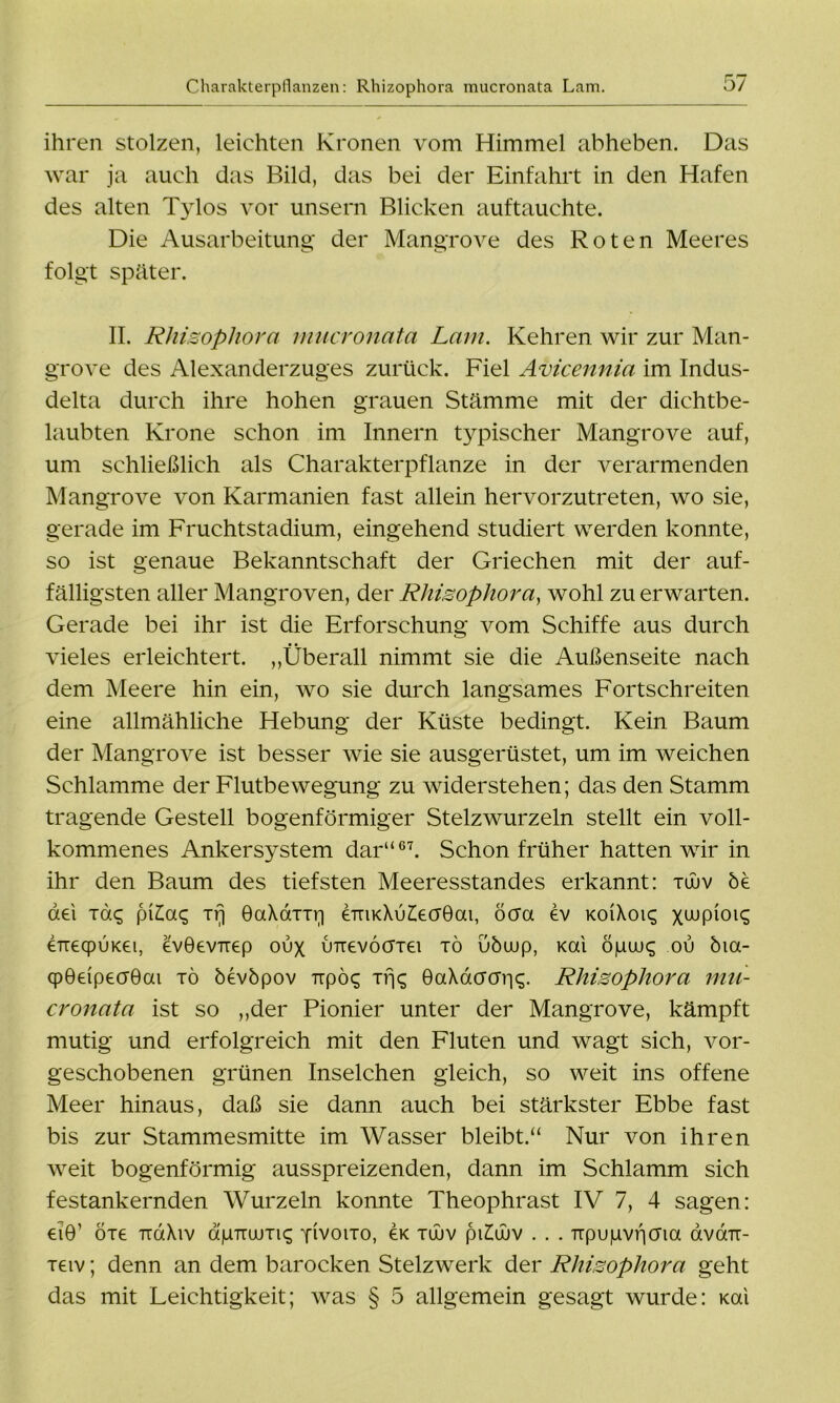 ihren stolzen, leichten Kronen vom Himmel abheben. Das war ja auch das Bild, das bei der Einfahrt in den Hafen des alten Tylos vor unsern Blicken auf tauchte. Die Ausarbeitung der Mangrove des Roten Meeres folgt später. II. Rhizophora mucronata Lam. Kehren wir zur Man- grove des Alexanderzuges zurück. Fiel Avicennia im Indus- delta durch ihre hohen grauen Stämme mit der dichtbe- laubten Krone schon im Innern typischer Mangrove auf, um schließlich als Charakterpflanze in der verarmenden Mangrove von Karmanien fast allein hervorzutreten, wo sie, gerade im Fruchtstadium, eingehend studiert werden konnte, so ist genaue Bekanntschaft der Griechen mit der auf- fälligsten aller Mangroven, der Rhizophora, wohl zu erwarten. Gerade bei ihr ist die Erforschung vom Schiffe aus durch vieles erleichtert. „Überall nimmt sie die Außenseite nach dem Meere hin ein, wo sie durch langsames Fortschreiten eine allmähliche Hebung der Küste bedingt. Kein Baum der Mangrove ist besser wie sie ausgerüstet, um im weichen Schlamme der Flutbewegung zu widerstehen; das den Stamm tragende Gestell bogenförmiger Stelzwurzeln stellt ein voll- kommenes Ankersystem dar“67. Schon früher hatten wir in ihr den Baum des tiefsten Meeresstandes erkannt: xüuv be dei xac; pi£a<; Tij GaXam;] £TTiKXu£ecrGai, öcra ev koiXoi^ x^piok; CTieqpiJKei, evGevnep oux {mevocrrei tö ubuup, kcxi öpuu£ ou bia- cpGeipeaGai tö öevbpov Tipö<; rrR GaXacrcrriq. Rhizophora mu- cronata ist so „der Pionier unter der Mangrove, kämpft mutig und erfolgreich mit den Fluten und wagt sich, vor- geschobenen grünen Inselchen gleich, so weit ins offene Meer hinaus, daß sie dann auch bei stärkster Ebbe fast bis zur Stammesmitte im Wasser bleibt.“ Nur von ihren weit bogenförmig ausspreizenden, dann im Schlamm sich festankernden Wurzeln konnte Theophrast IV 7, 4 sagen: €iG’ ot£ ttüXiv dpTmjTic; pivouo, ök tujv pi£üijv . . . Tipupvncria avair- tgiv ; denn an dem barocken Stelzwerk der Rhizophora geht das mit Leichtigkeit; was § 5 allgemein gesagt wurde: Kai