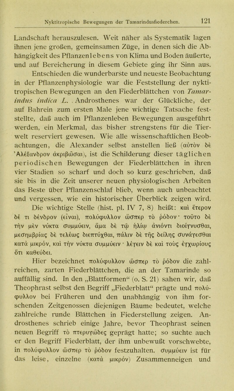 Landschaft herauszulesen. Weit näher als Systematik lagen ihnen jene großen, gemeinsamen Züge, in denen sich die Ab- hängigkeit des Pflanzenlebens von Klima und Boden äußerte, und auf Bereicherung in diesem Gebiete ging ihr Sinn aus. Entschieden die wunderbarste und neueste Beobachtung in der Pflanzen Physiologie war die Feststellung der nykti- tropischen Bewegungen an den Fiederblättchen von Tamar- indus in dien L. Androsthenes war der Glückliche, der auf Bahrein zum ersten Male jene wichtige Tatsache fest- stellte, daß auch im Pflanzenleben Bewegungen ausgeführt werden, ein Merkmal, das bisher strengstens für die Tier- welt reserviert gewesen. Wie alle wissenschaftlichen Beob- achtungen, die Alexander selbst anstellen ließ (auiöv be ’AXeHavbpov aKpißuucrai), ist die Schilderung dieser täglichen periodischen Bewegungen der Fiederblättchen in ihren vier Stadien so scharf und doch so kurz geschrieben, daß sie bis in die Zeit unserer neuen physiologischen Arbeiten das Beste über Pflanzenschlaf blieb, wenn auch unbeachtet und vergessen, wie ein historischer Überblick zeigen wird. Die wichtige Stelle (hist. pl. IV 7, 8) heißt: Kai eiepov be ti bevbpov (eivai), 7To\ucpijXX.ov üjcrTiep tö pobov * touto be TBv juev vuKia cruppueiv, äjua be tuj f]Xiw dviövri bioiYVuaÖai, juecrrmßpia^ be TeXeiu^ biemuxOai, TiaXiv be ifjs beiXrjcg auvaYecrOai Kard juiKpöv, Kai xijv vuKia crujujuueiv • XeY^iv be Kai tou£ eYXwpiouc; 6n Kaöeubei. Hier bezeichnet TioXucpuXXov üuaTrep tö pobov die zahl- reichen, zarten Fiederblättchen, die an der Tamarinde so auffällig sind. In den „Blattformen“ (o. S. 21) sahen wir, daß Theophrast selbst den Begriff „Fiederblatt“ prägte und ttoXu- qpuXXov bei Früheren und den unabhängig von ihm for- schenden Zeitgenossen diejenigen Bäume bedeutet, welche zahlreiche runde Blättchen in Fiederstellung zeigen. An- drosthenes schrieb einige Jahre, bevor Theophrast seinen neuen Begriff tö TtTepuYcubeq geprägt hatte; so suchte auch er den Begriff Fiederblatt, der ihm unbewußt vorschwebte, in TioXucpuXXov üjcrTiep tö pobov festzuhalten, cruppueiv ist für das leise, einzelne (Kard piKpöv) Zusammenneigen und