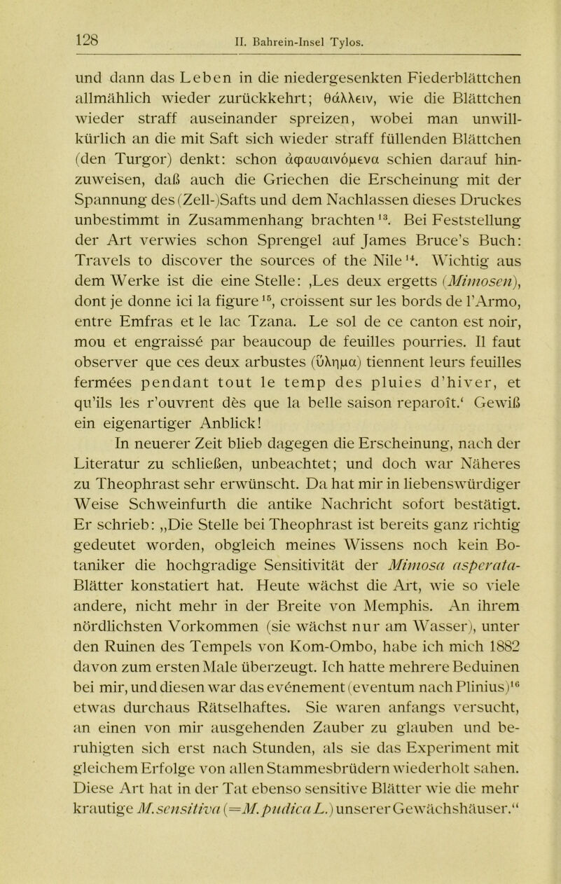 und dann das Leben in die niedergesenkten Fiederblättchen allmählich wieder zurückkehrt; GaXXeiv, wie die Blättchen wieder straff auseinander spreizen, wobei man unwill- kürlich an die mit Saft sich wieder straff füllenden Blättchen (den Turgor) denkt: schon acpauaivoiaeva schien darauf hin- zuweisen, daß auch die Griechen die Erscheinung mit der Spannung des(Zell-)Safts und dem Nachlassen dieses Druckes unbestimmt in Zusammenhang brachten13. Bei Feststellung der Art verwies schon Sprengel auf James Bruce’s Buch: Travels to discover the sources of the Nile14. Wichtig aus dem Werke ist die eine Stelle: ,Les deux ergetts (Mimosen), dont je donne ici la figure15, croissent sur les bords de l’Armo, entre Emfras et le lac Tzana. Le sol de ce canton est noir, mou et engraissö par beaucoup de feuilles pourries. II faut observer que ces deux arbustes (uXiipa) tiennent leurs feuilles fermöes pendant tout le temp des pluies d’hiver, et qu’ils les r’ouvrent des que la belle saison reparoit/ Gewiß ein eigenartiger Anblick! In neuerer Zeit blieb dagegen die Erscheinung, nach der Literatur zu schließen, unbeachtet; und doch war Näheres zu Theophrast sehr erwünscht. Da hat mir in liebenswürdiger Weise Schweinfurth die antike Nachricht sofort bestätigt. Er schrieb: „Die Stelle bei Theophrast ist bereits ganz richtig gedeutet worden, obgleich meines Wissens noch kein Bo- taniker die hochgradige Sensitivität der Mimosa asperata- Blätter konstatiert hat. Heute wächst die Art, wie so viele andere, nicht mehr in der Breite von Memphis. An ihrem nördlichsten Vorkommen (sie wächst nur am Wasser), unter den Ruinen des Tempels von Kom-Ombo, habe ich mich 1882 davon zum ersten Male überzeugt. Ich hatte mehrere Beduinen bei mir, und diesen war das evönement (eventum nach Plinius)16 etwas durchaus Rätselhaftes. Sie waren anfangs versucht, an einen von mir ausgehenden Zauber zu glauben und be- ruhigten sich erst nach Stunden, als sie das Experiment mit gleichem Erfolge von allen Stammesbrüdern wiederholt sahen. Diese Art hat in der Tat ebenso sensitive Blätter wie die mehr krautige M.sensitiva (=M.pudicciL.) unserer Gewächshäuser.“