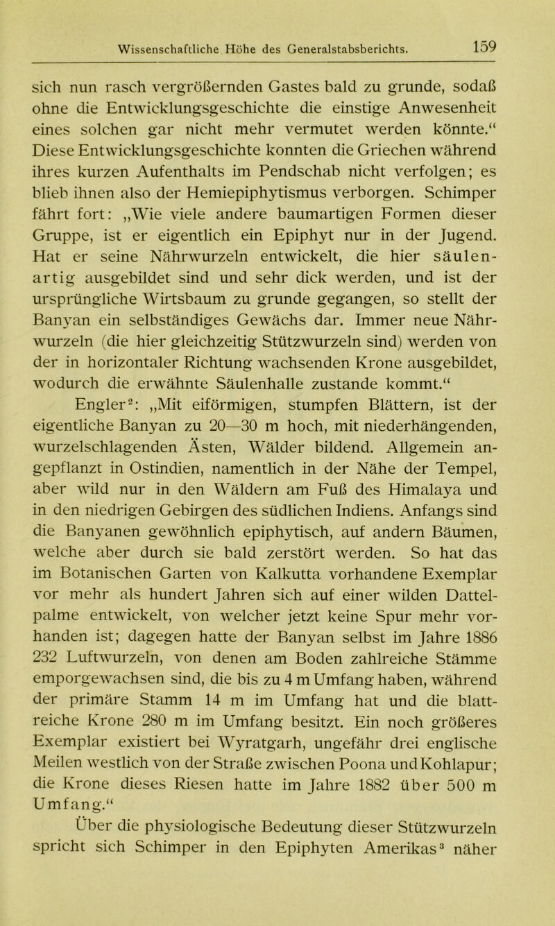 sich nun rasch vergrößernden Gastes bald zu gründe, sodaß ohne die Entwicklungsgeschichte die einstige Anwesenheit eines solchen gar nicht mehr vermutet werden könnte.“ Diese Entwicklungsgeschichte konnten die Griechen während ihres kurzen Aufenthalts im Pendschab nicht verfolgen; es blieb ihnen also der Hemiepiphytismus verborgen. Schimper fährt fort: „Wie viele andere baumartigen Formen dieser Gruppe, ist er eigentlich ein Epiphyt nur in der Jugend. Hat er seine Nährwurzeln entwickelt, die hier säulen- artig ausgebildet sind und sehr dick werden, und ist der ursprüngliche Wirtsbaum zu gründe gegangen, so stellt der Banvan ein selbständiges Gewächs dar. Immer neue Nähr- wurzeln (die hier gleichzeitig Stützwurzeln sind) werden von der in horizontaler Richtung wachsenden Krone ausgebildet, wodurch die erwähnte Säulenhalle zustande kommt.“ Engler2: „Mit eiförmigen, stumpfen Blättern, ist der eigentliche Banyan zu 20—30 m hoch, mit niederhängenden, wurzelschlagenden Ästen, Wälder bildend. Allgemein an- gepflanzt in Ostindien, namentlich in der Nähe der Tempel, aber wild nur in den Wäldern am Fuß des Himalaya und in den niedrigen Gebirgen des südlichen Indiens. Anfangs sind die Banyanen gewöhnlich epiphytisch, auf andern Bäumen, welche aber durch sie bald zerstört werden. So hat das im Botanischen Garten von Kalkutta vorhandene Exemplar vor mehr als hundert Jahren sich auf einer wilden Dattel- palme entwickelt, von welcher jetzt keine Spur mehr vor- handen ist; dagegen hatte der Banyan selbst im Jahre 1886 232 Luftwurzeln, von denen am Boden zahlreiche Stämme emporgewachsen sind, die bis zu 4 m Umfang haben, während der primäre Stamm 14 m im Umfang hat und die blatt- reiche Krone 280 m im Umfang besitzt. Ein noch größeres Exemplar existiert bei Wyratgarh, ungefähr drei englische Meilen westlich von der Straße zwischen Poona undKohlapur; die Krone dieses Riesen hatte im Jahre 1882 über 500 m Umfang.“ Über die physiologische Bedeutung dieser Stützwurzeln spricht sich Schimper in den Epiphyten Amerikas3 näher