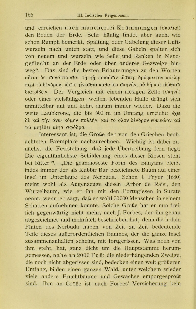 und erreichen nach mancherlei Krümmungen (ctKoXiai) den Boden der Erde. Sehr häufig findet aber auch, wie schon Rumph bemerkt, Spaltung oder Gabelung dieser Luft- wurzeln nach unten statt, und diese Gabeln spalten sich von neuem und wurzeln wie Seile und Ranken in Netz- geflecht an der Erde oder über anderes Gezweige hin- weg“. Das sind die besten Erläuterungen zu den Worten auiai be auvd'rrrouö'ai Trj yrj Tioiouaiv wcmep bpucpaKiov kukXw Ttepi io bevbpov, uucne yivecrGai KaÖaTiep CTKr|vf|V, ou bi) Kai eiwöaai biaxpißeiv. Der Vergleich mit einem riesigen Zelte (cFKr|vf|) oder einer vielsäuligen, weiten, lebenden Halle drängt sich unmittelbar auf und kehrt darum immer wieder. Dazu die weite Laubkrone, die bis 500 m im Umfang erreicht: ex61 be Kai if]v avuu KÖpr|v TroXXfiv, Kai tö öXov bevbpov €ukukXov Kai tüj peyeöei peya cnpöbpa. Interessant ist, die Größe der von den Griechen beob- achteten Exemplare nachzurechnen. Wichtig ist dabei zu- nächst die Feststellung, daß jede Übertreibung fern liegt. Die eigentümlichste Schilderung eines dieser Riesen steht bei Ritter12. „Die grandioseste Form des Banyans bleibt indes immer der als Kubbir Bur bezeichnete Baum auf einer Insel im Unterlaufe des Nerbuda. Schon J. Fryer (1680) meint wohl als Augenzeuge diesen ,Arbor de Rais‘, den Wurzelbaum, wie er ihn mit den Portugiesen in Surate nennt, wenn er sagt, daß er wohl 30000 Menschen in seinem Schatten aufnehmen könnte. Solche Größe hat er nun frei- lich gegenwärtig nicht mehr, nach }. Forbes, der ihn genau abgezeichnet und mehrfach beschrieben hat; denn die hohen Fluten des Nerbuda haben von Zeit zu Zeit bedeutende Teile dieses außerordentlichen Baumes, der die ganze Insel zusammenzuhalten scheint, mit fortgerissen. Was noch von ihm steht, hat, ganz dicht um die Hauptstämme herum- gemessen, nahe an 2000 Fuß; die niederhängenden Zweige, die noch nicht abgerissen sind, bedecken einen weit größeren Umfang, bilden einen ganzen Wald, unter welchem wieder viele andere Fruchtbäume und Gewächse emporgesproßt sind. Ihm an Größe ist nach Forbes’ Versicherung kein