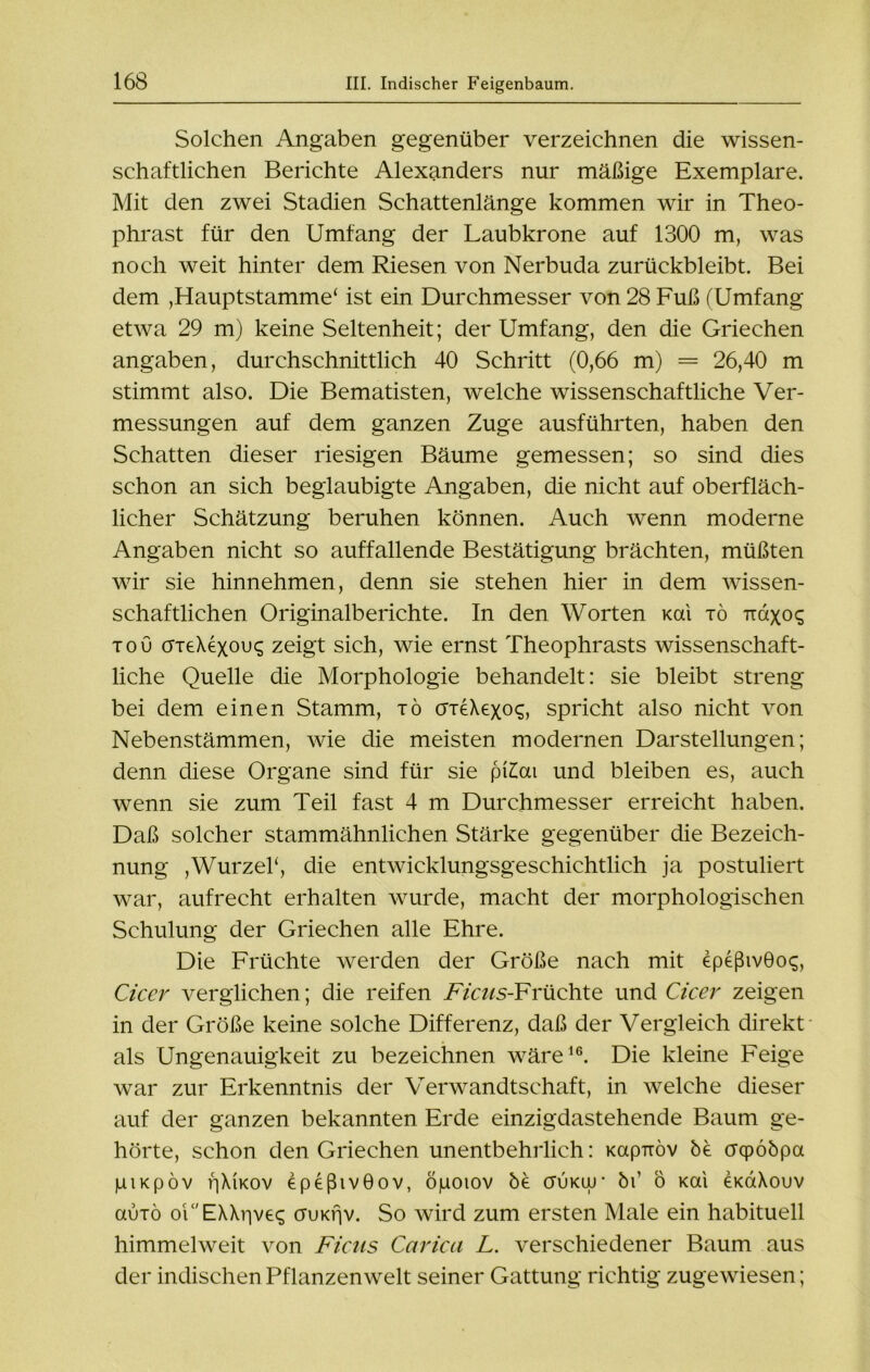 Solchen Angaben gegenüber verzeichnen die wissen- schaftlichen Berichte Alexanders nur mäßige Exemplare. Mit den zwei Stadien Schattenlänge kommen wir in Theo- phrast für den Umfang der Laubkrone auf 1300 m, was noch weit hinter dem Riesen von Nerbuda zurückbleibt. Bei dem ,Hauptstamme* ist ein Durchmesser von 28 Fuß (Umfang etwa 29 m) keine Seltenheit; der Umfang, den die Griechen angaben, durchschnittlich 40 Schritt (0,66 m) = 26,40 m stimmt also. Die Bematisten, welche wissenschaftliche Ver- messungen auf dem ganzen Zuge ausführten, haben den Schatten dieser riesigen Bäume gemessen; so sind dies schon an sich beglaubigte Angaben, die nicht auf oberfläch- licher Schätzung beruhen können. Auch wenn moderne Angaben nicht so auffallende Bestätigung brächten, müßten wir sie hinnehmen, denn sie stehen hier in dem wissen- schaftlichen Originalberichte. In den Worten Kai tö ttüxos tou crieXexous zeigt sich, wie ernst Theophrasts wissenschaft- liche Quelle die Morphologie behandelt: sie bleibt streng bei dem einen Stamm, tö areXexoq, spricht also nicht von Nebenstämmen, wie die meisten modernen Darstellungen; denn diese Organe sind für sie pLai und bleiben es, auch wenn sie zum Teil fast 4 m Durchmesser erreicht haben. Daß solcher stammähnlichen Stärke gegenüber die Bezeich- nung ,Wurzel*, die entwicklungsgeschichtlich ja postuliert war, aufrecht erhalten wurde, macht der morphologischen Schulung der Griechen alle Ehre. Die Früchte werden der Größe nach mit epeßivGo^, Cicer verglichen; die reifen AYaJS-Früchte und Cicer zeigen in der Größe keine solche Differenz, daß der Vergleich direkt als Ungenauigkeit zu bezeichnen wäre16. Die kleine Feige war zur Erkenntnis der Verwandtschaft, in welche dieser auf der ganzen bekannten Erde einzigdastehende Baum ge- hörte, schon den Griechen unentbehrlich: KapTtöv öe acpööpa piKpöv iqXiKov epeßivGov, öjuoiov be ctukuj* b\ ö Kai eKaXouv auTÖ oiaEXXr|ve<; cruKfjv. So wird zum ersten Male ein habituell himmelweit von Ficus Carica L. verschiedener Baum aus der indischen Pflanzenwelt seiner Gattung richtig zugewiesen;