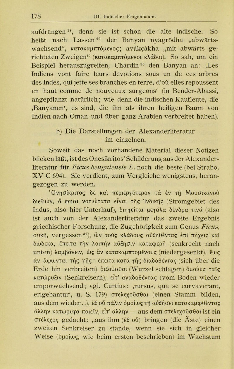 aufdrängen28, denn sie ist schon die alte indische. So heißt nach Lassen29 der Banyan nyagrödha „abwärts- wachsend“, KaTaKagmö|uevoc;; aväk^äkha „mit abwärts ge- richteten Zweigen“ (KaxaKagTTxög.£voi tcXaboi). So sah, um ein Beispiel herauszugreifen, Chardin30 den Banyan an: ,Les Indiens vont faire leurs dövotions sous un de ces arbres des Indes, qui jette ses branches en terre, d’oü eiles repoussent en haut comme de nouveaux surgeons‘ (in Bender-Abassi, angepflanzt natürlich; wie denn die indischen Kaufleute, die ,Banyanen‘, es sind, die ihn als ihren heiligen Baum von Indien nach Oman und über ganz Arabien verbreitet haben). b) Die Darstellungen der Alexanderliteratur im einzelnen. Soweit das noch vorhandene Material dieser Notizen blicken läßt, ist des Onesikritos’ Schilderung aus der Alexander- literatur für Ficus bengalensis L. noch die beste (bei Strabo, XV C 694). Sie verdient, zum Vergleiche wenigstens, heran- gezogen zu werden. ’OvriaiKpiTo^ öd Kai -nxpiGppöxepov xd dv irj MoucriKavou öieHiwv, d qpr|Oi voxuiixaxa eivai Trj<^ ’lvöiKfjq (Stromgebiet des Indus, also hier Unterlauf), öiqpeixai gepaXa ödvöpa xiva (also ist auch von der Alexanderliteratur das zweite Ergebnis griechischer Forschung, die Zugehörigkeit zum Genus Ficus, cruKfj, vergessen31), duv xou<^ kXcxöouc; auHr|0dvxaq diri TTgx^i^ Kai bubbem, dneixa xtjv Xounjv auHgcnv Kaxacpepfj (senkrecht nach unten) Xagßaveiv, ihq dv KaxaKagTixogevou^ (niedergesenkt), euuq dv aipuuvxai xrj<g pfj<; * exeixa mxa pfjc; öiaöoGdvxaq (sich über die Erde hin verbreiten) piHoücrGai (Wurzel schlagen) ögotwq xai<; KaxuupuHiv (Senkreisern), eix’ avaboGdvxaq (vom Boden wieder emporwachsend; vgl. Curtius: ,rursus, qua se eurvaverant, erigebantui“, u. S. 179) crxeXexoucröai (einen Stamm bilden, aus dem wieder..), dH ou TiaXiv ögoiuu<; xr) auHficrei KaxamgqpGdvxa^ aXXgv Kaxuupupa Troieiv, eix’ dXXgv — aus dem crxeXexoucrGai ist ein crxdXexos gedacht: „aus ihm (dH oü) bringen (die Äste) einen zweiten Senkreiser zu stände, wenn sie sich in gleicher Weise (ögoiwq, wie beim ersten beschrieben) im Wachstum