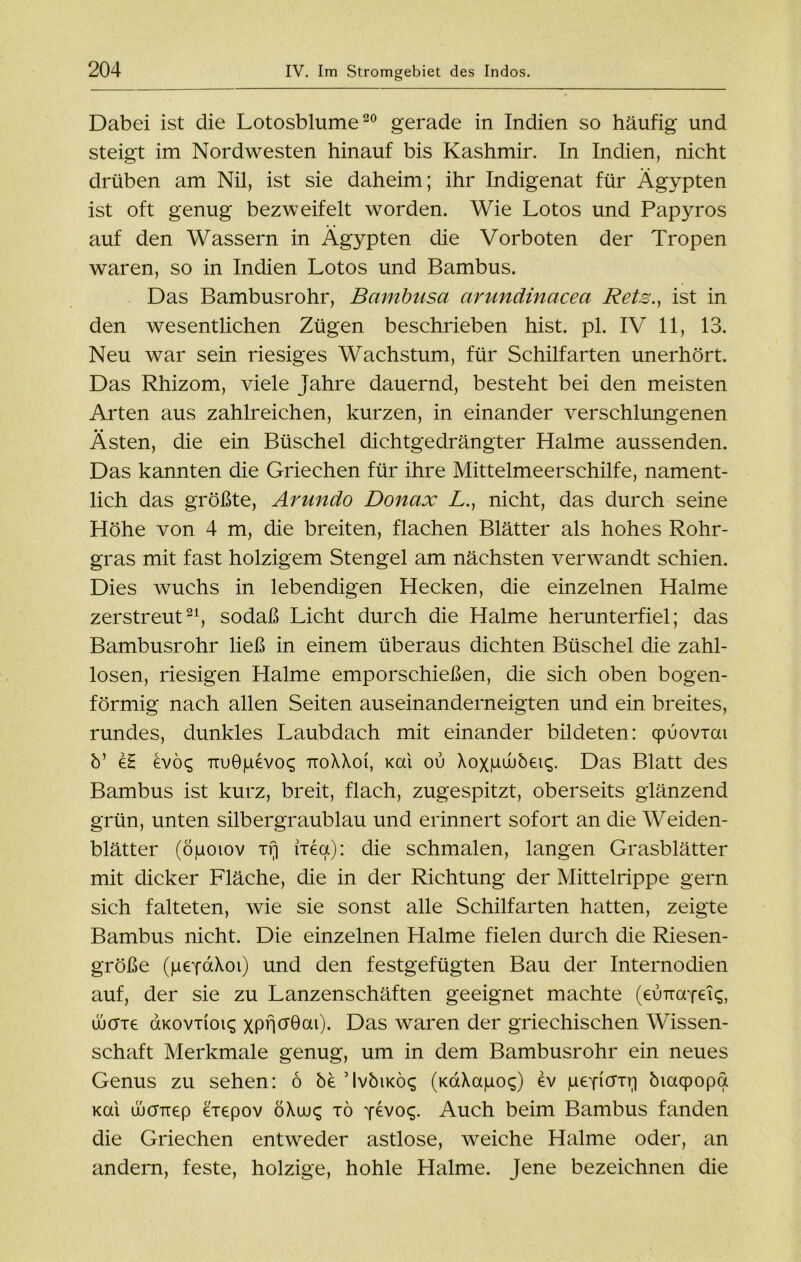 Dabei ist die Lotosblume20 gerade in Indien so häufig und steigt im Nordwesten hinauf bis Kashmir. In Indien, nicht drüben am Nil, ist sie daheim; ihr Indigenat für Ägypten ist oft genug bezweifelt worden. Wie Lotos und Papyros auf den Wassern in Ägypten die Vorboten der Tropen waren, so in Indien Lotos und Bambus. Das Bambusrohr, Bambusa arundinacea Rets., ist in den wesentlichen Zügen beschrieben hist. pl. IV 11, 13. Neu war sein riesiges Wachstum, für Schilfarten unerhört. Das Rhizom, viele Jahre dauernd, besteht bei den meisten Arten aus zahlreichen, kurzen, in einander verschlungenen Ästen, die ein Büschel dichtgedrängter Halme aussenden. Das kannten die Griechen für ihre Mittelmeerschilfe, nament- lich das größte, Arundo Donax L., nicht, das durch seine Höhe von 4 m, die breiten, flachen Blätter als hohes Rohr- gras mit fast holzigem Stengel am nächsten verwandt schien. Dies wuchs in lebendigen Hecken, die einzelnen Halme zerstreut21, sodaß Licht durch die Halme herunterfiel; das Bambusrohr ließ in einem überaus dichten Büschel die zahl- losen, riesigen Halme emporschießen, die sich oben bogen- förmig nach allen Seiten auseinanderneigten und ein breites, rundes, dunkles Laubdach mit einander bildeten: qpuoviai b’ eH €vö<; TTu0pevo<; ttoXXoi, Kai ou Xoxpwöeic;. Das Blatt des Bambus ist kurz, breit, flach, zugespitzt, oberseits glänzend grün, unten silbergraublau und erinnert sofort an die Weiden- blätter (öjuoiov Tfj rrea): die schmalen, langen Grasblätter mit dicker Fläche, die in der Richtung der Mittelrippe gern sich falteten, wie sie sonst alle Schilfarten hatten, zeigte Bambus nicht. Die einzelnen Halme fielen durch die Riesen- größe (peYaXoi) und den festgefügten Bau der Internodien auf, der sie zu Lanzenschäften geeignet machte (euTia-fei^, ujcne (xkovtioi^ xpnü’öai). Das waren der griechischen Wissen- schaft Merkmale genug, um in dem Bambusrohr ein neues Genus zu sehen: 6 be’IvbiKÖc; (KaXapoq) ev pepö“n,1 öiaqpopa Kai üjcFTiep eiepov öXuu<; tö y^V0<5- Auch beim Bambus fanden die Griechen entweder astlose, weiche Halme oder, an andern, feste, holzige, hohle Halme. Jene bezeichnen die