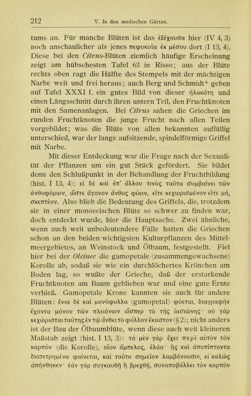 tums an. Für manche Blüten ist das eHexoucra hier (IV 4, 3) noch anschaulicher als jenes TiecpuKuia gk pecrou dort (I 13, 4). Diese bei den Citrus-Blüten ziemlich häufige Erscheinung zeigt am hübschesten Tafel 63 in Risso; aus der Blüte rechts oben ragt die Hälfte des Stempels mit der mächtigen Narbe weit und frei heraus; auch Berg und Schmidt6 geben auf Tafel XXXI f. ein gutes Bild von dieser ljXaKomi und einen Längsschnitt durch ihren untern Teil, den Fruchtknoten mit den Samenanlagen. Bei Citrus sahen die Griechen im runden Fruchtknoten die junge Frucht nach allen Teilen vorgebildet; was die Blüte von allen bekannten auffällig unterschied, war der lange aufsitzende, spindelförmige Griffel mit Narbe. Mit dieser Entdeckung war die Frage nach der Sexuali- tät der Pflanzen um ein gut Stück gefördert. Sie bildet denn den Schlußpunkt in der Behandlung der Fruchtbildung (hist. I 13, 4): ei be Kai en' aXXou tivö<; Tauia (TupßaivGi tüuv avGoqpöpuuv, diene dyovov ävQoc, cpueiv, eiie Kexwpiögevov ei’ie pij, (Tkgttteov. Also blieb die Bedeutung des Griffels, die, trotzdem sie in einer monoecischen Blüte so schwer zu finden war, doch entdeckt wurde, hier die Hauptsache. Zwei ähnliche, wenn auch weit unbedeutendere Fälle hatten die Griechen schon an den beiden wichtigsten Kulturpflanzen des Mittel- meergebietes, an Weinstock und Ölbaum, festgestellt. Fiel hier bei der Oleince die gamopetale (zusammengewachsene) Korolle ab, sodaß sie wie ein durchlöchertes Krönchen am Boden lag, so wußte der Grieche, daß der erstarkende Fruchtknoten am Baum geblieben war und eine gute Ernte verhieß. Gamopetale Krone kannten sie auch für andere Blüten: evia be Kai povöcpuAXa (gamopetal) cpueiai, biaYpacpijv GXOVTa pövov tüuv ttXgiövuuv uüöTrep tö tiR iacriujvr)^ • ou y«P KexaJpiöTai Taunus ev tuj avGeitö cpuXXov eKacnov (§ 2); nicht anders ist der Bau der Ölbaumblüte, wenn diese auch weit kleineren Maßstab zeigt (hist. I 13, 3): tö pev y«P Ö(£i tt e p i auTÖv töv Kapnöv (die Korolle), oiov apTieXo^, eXaa- Kai aTTOTrinTovTa biaTGTpiipeva cpaiveTai, Kai touto appeTov Aapßavoucnv, ei KaXiu^ aTirivGriKev • eav YÖp cruYKau04 ü ßPeX0T ouvanoßaXXei töv KapTiöv