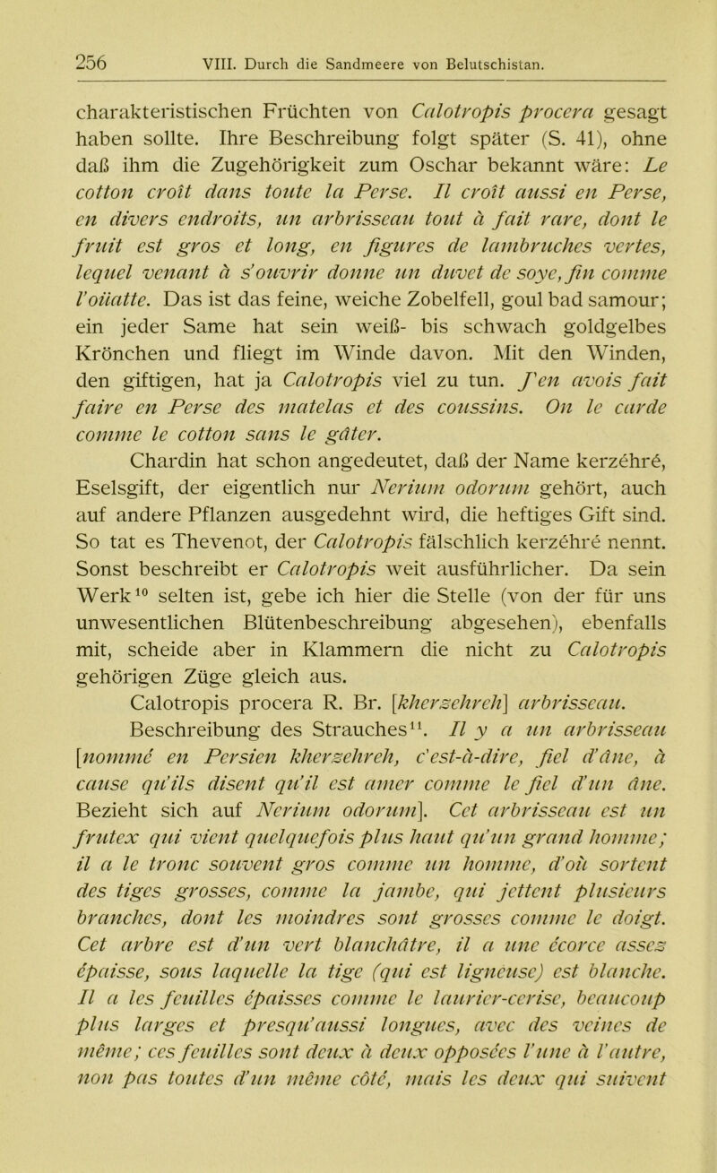 charakteristischen Früchten von Calotropis procera gesagt haben sollte. Ihre Beschreibung folgt später (S. 41), ohne daß ihm die Zugehörigkeit zum Oschar bekannt wäre: Le cotton croit dans tonte la Pevse. II crolt aussi en Perse, en divers endroits, un arbrisseau tont ä fait rare, dont le fruit cst gros et long, en figures de lambruches vertes, lequel venant ä s’ouvrir donne un duvet de soye,fin conirne Voüatte. Das ist das feine, weiche Zobelfell, goul bad samour; ein jeder Same hat sein weiß- bis schwach goldgelbes Krönchen und fliegt im Winde davon. Mit den Winden, den giftigen, hat ja Calotropis viel zu tun. J'en avois fait faire en Perse des matelas et des coussins. On le carde comme le cotton sans le gdter. Chardin hat schon angedeutet, daß der Name kerzehrö, Eselsgift, der eigentlich nur Nerium odorum gehört, auch auf andere Pflanzen ausgedehnt wird, die heftiges Gift sind. So tat es Thevenot, der Calotropis fälschlich kerzöhre nennt. Sonst beschreibt er Calotropis weit ausführlicher. Da sein Werk10 selten ist, gebe ich hier die Stelle (von der für uns unwesentlichen Blütenbeschreibung abgesehen), ebenfalls mit, scheide aber in Klammern die nicht zu Calotropis gehörigen Züge gleich aus. Calotropis procera R. Br. [kkersekrek] arbrisseau. Beschreibung des Strauches11. II y a un arbrisseau [nomme en Persien khersehreh, c'est-ä-dirc, fiel d’dne, ä cause qu’ils disent qu’il cst enner comme le fiel d’un dne. Bezieht sich auf Nerium odorum]. Cct arbrisseau est un frutex qui vient quelquefois plus haut qu’un grand komme; il a le tronc souvent gros comme un komme, d’oü sortent des tiges grosses, comme la jambe, qui jettent plusieurs branckes, dont les moindres sont grosses comme le doigt. Cet arbre est dien vert blanckdtre, il a une ccorcc asscs epaisse, sous laquelle la tige (qui cst ligneuse) cst blanche. Il a les fcuillcs epaisses comme le lauricr-cerisc, beaucoup plus larges et presqiCaussi longues, avcc des vcincs de meine; ccs fcuillcs sont dcux ä dcux opposces Vune ä Vuntre, non pas toutes d’un meine cötc, mais les dcux qui suivent