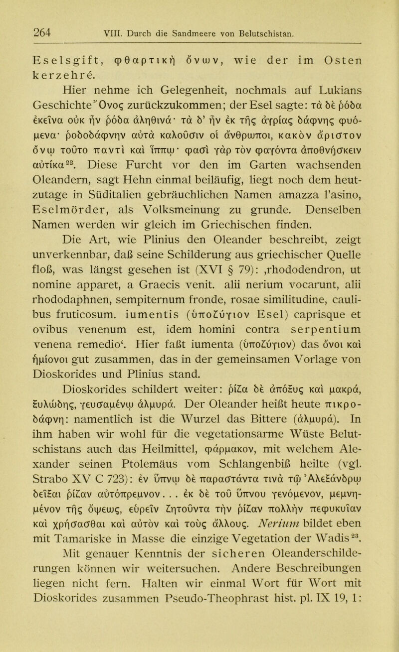 Esels g'ift, qpOapTiKr] övuuv, wie der im Osten k er zehr 6. Hier nehme ich Gelegenheit, nochmals auf Lukians Geschichte’Ovo<; zurückzukommen; der Esel sagte: Ta be poöa eKeiva ouk rjv poöa aXqGivd* xa ö’ rjv ck Trjc; aypias bdqpvr^ qpuo- geva* poboödqpvriv auxa KaXoucnv oi avGpumoi, KaKÖv apicrxov övw touto TravTi Kai ittttiu* qpacri yap xöv qpayövTa aTroGvfiCFKeiv auxiKa22. Diese Furcht vor den im Garten wachsenden Oleandern, sagt Hehn einmal beiläufig, liegt noch dem heut- zutage in Süditalien gebräuchlichen Namen amazza l’asino, Eselmörder, als Volksmeinung zu gründe. Denselben Namen werden wir gleich im Griechischen finden. Die Art, wie Plinius den Oleander beschreibt, zeigt unverkennbar, daß seine Schilderung aus griechischer Quelle floß, was längst gesehen ist (XVI § 79): Rhododendron, ut nomine apparet, a Graecis venit. alii nerium vocarunt, alii rhododaphnen, sempiternum fronde, rosae similitudine, cauli- bus fruticosum. iumentis (imo^uyiov Esel) caprisque et ovibus venenum est, idem homini contra serpentium venena remedio‘. Hier faßt iumenta (uiroZüyiov) das övoi Kai qgiovot gut zusammen, das in der gemeinsamen Vorlage von Dioskorides und Plinius stand. Dioskorides schildert weiter: pi£a be cnroHu^ Kai gaKpa, HuXwöriq, yeucragevuj aXgupa. Der Oleander heißt heute iriKpo- ödqpvrj: namentlich ist die Wurzel das Bittere (aXgupa). In ihm haben wir wohl für die vegetationsarme Wüste Belut- schistans auch das Heilmittel, qpdpgaKov, mit welchem Ale- xander seinen Ptolemäus vom Schlangenbiß heilte (vgl. Strabo XV C 723): ev uttvuj öe Trapacridvia xiva tw ’AXeHavöpuj öeTHai pi£av auTÖTipegvov. . . ek be xou uttvou yevögevov, gegvrp gevov Trjc^ öipeux;, eupeiv £r|TOuvxa if)v pi£av ttqXXi'iv TrecpuKuiav Kai xpqö’acrBai Kai auTÖv Kai touc; aXXou^. Nerium bildet eben mit Tamariske in Masse die einzige Vegetation der Wadis23. Mit genauer Kenntnis der sicheren Oleanderschilde- rungen können wir weitersuchen. Andere Beschreibungen liegen nicht fern. Halten wir einmal Wort für Wort mit Dioskorides zusammen Pseudo-Theophrast hist. pl. IX 19, 1: