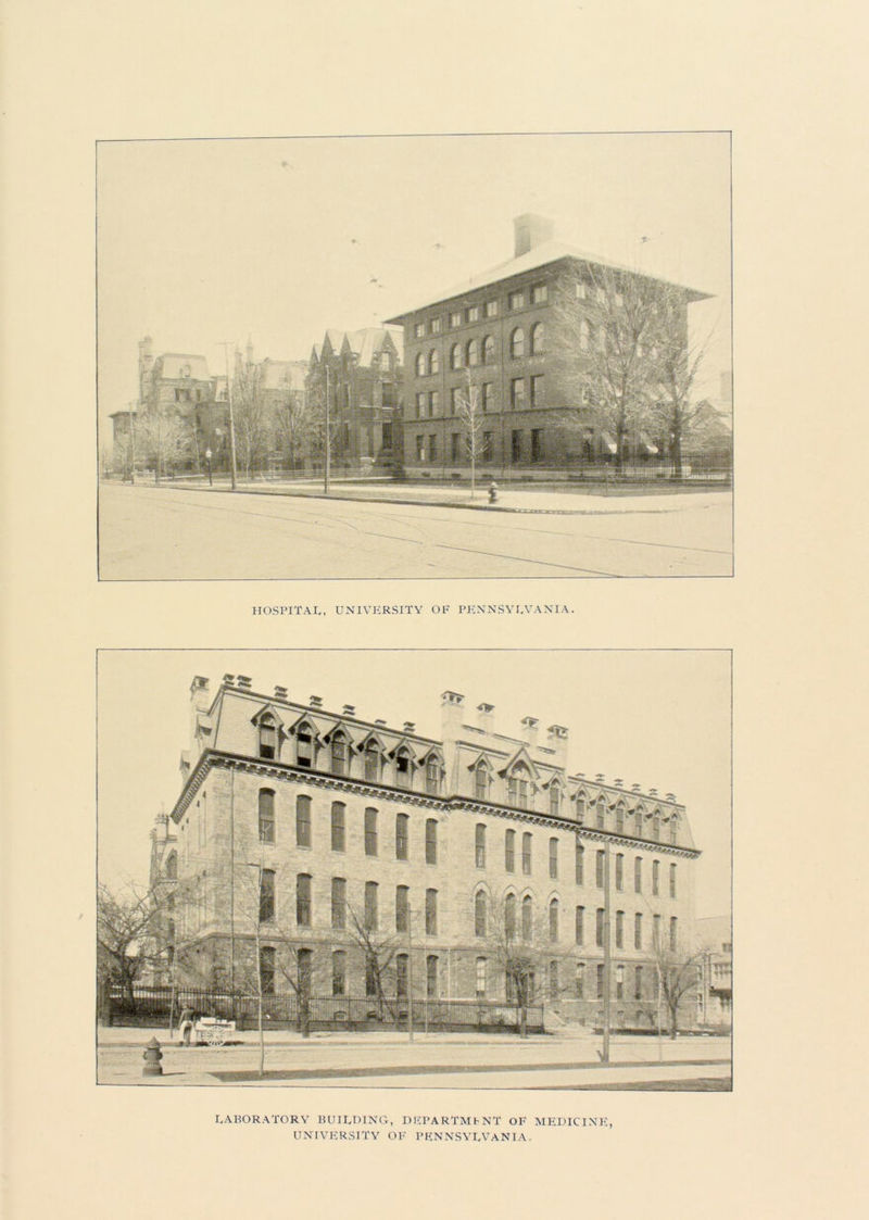 LABORATORY BUILDING, DRPARTMh NT OF MEDICINE, UNIVERSITY OF PENNSYLVANIA.