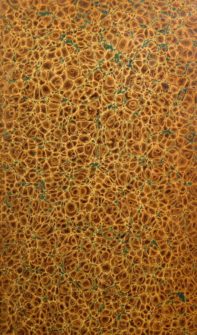 No text description is available for this image