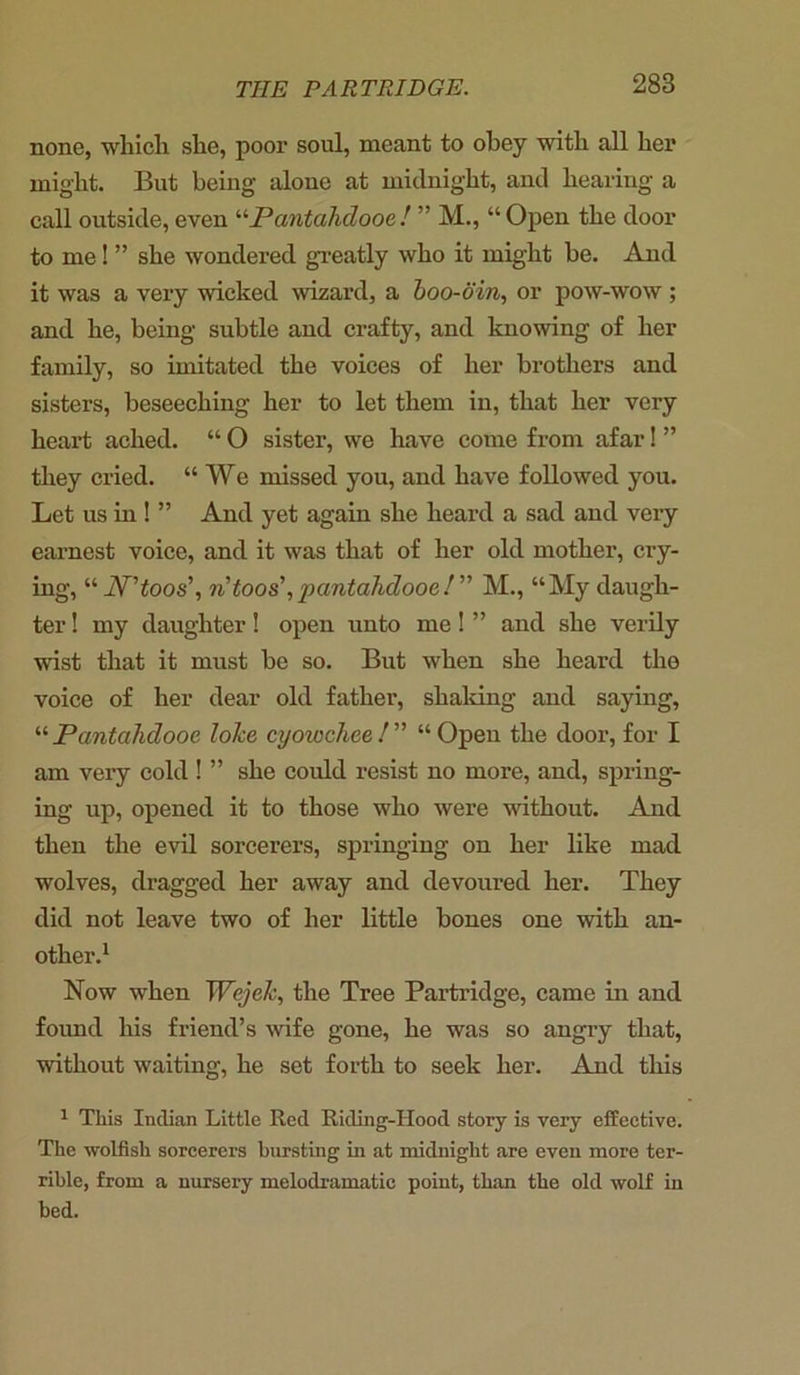 28B none, which she, poor soul, meant to obey with all her might. But being alone at midnight, and hearing a call outside, even “Pantahdooe! ” M., “ Open the door tome!” she wondered greatly who it might be. And it was a very wicked wizard, a boo-din, or pow-wow ; and he, being subtle and crafty, and knowing of her family, so imitated the voices of her brothers and sisters, beseeching her to let them in, that her very heart ached. “ O sister, we have come from afar! ” they cried. “ We missed you, and have followed you. Let us in ! ” And yet again she heard a sad and very earnest voice, and it was that of her old mother, cry- ing, “ W’toos’, ri too s’, pantahdooe!” M., “My daugh- ter ! my daughter! open unto me! ” and she verily wist that it must be so. But when she heard the voice of her dear old father, shaking and saying, “Pantahdooe loke cyowchee!” “Open the door, for I am very cold ! ” she could resist no more, and, spring- ing up, opened it to those who were without. And then the evil sorcerers, springing on her like mad wolves, dragged her away and devoured her. They did not leave two of her little bones one with an- other.1 Now when Wejek, the Tree Partridge, came in and found his friend’s wife gone, he was so angry that, without waiting, he set forth to seek her. And this 1 This Indian Little Red Ricling-Hood story is very effective. The wolfish sorcerers bursting in at midnight are even more ter- rible, from a nursery melodramatic point, than the old wolf in bed.