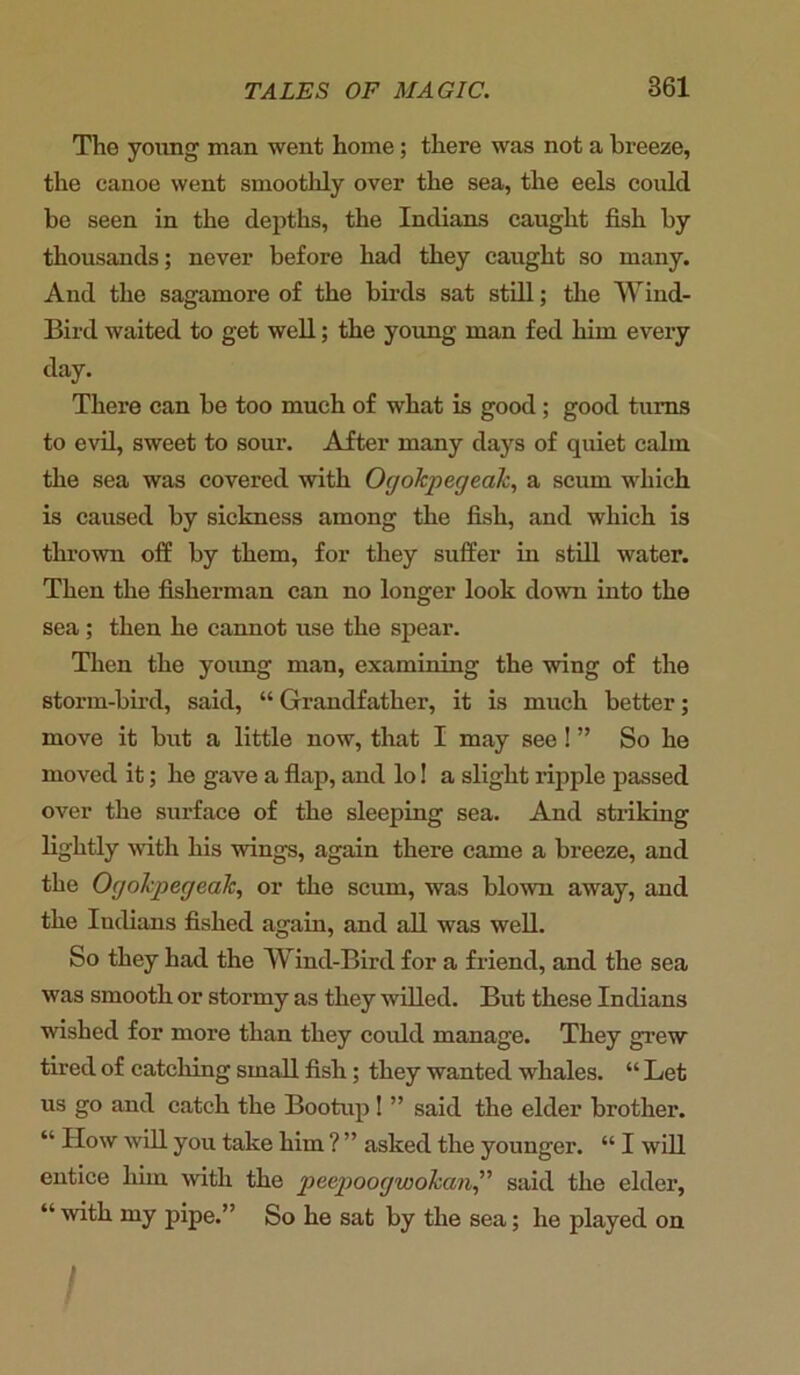 The young man went home; there was not a bi'eeze, the canoe went smoothly over the sea, the eels could be seen in the depths, the Indians caught fish by thousands; never before had they caught so many. And the sagamore of the birds sat still; the Wind- Bird waited to get well; the young man fed him every day. There can be too much of what is good; good turns to evil, sweet to sour. After many days of quiet calm the sea was covered with OgoJcpegeak, a scum which is caused by sickness among the fish, and which is thrown off by them, for they suffer in still water. Then the fisherman can no longer look down into the sea; then he cannot use the spear. Then the young man, examining the wing of the storm-bird, said, “ Grandfather, it is much better; move it but a little now, that I may see ! ” So he moved it; he gave a flap, and lo! a slight ripple passed over the surface of the sleeping sea. And striking lightly with his wings, again there came a breeze, and the OgoJcpegeak,, or the scum, was blown away, and the Indians fished again, and all was well. So they had the Wind-Bird for a friend, and the sea was smooth or stormy as they willed. But these Indians wished for more than they could manage. They grew tired of catching small fish ; they wanted whales. “ Let us go and catch the Bootup! ” said the elder brother. “ ITow will you take him ? ” asked the younger. “ I will entice him with the peepoogwokan” said the elder, “with my pipe.” So he sat by the sea; he played on
