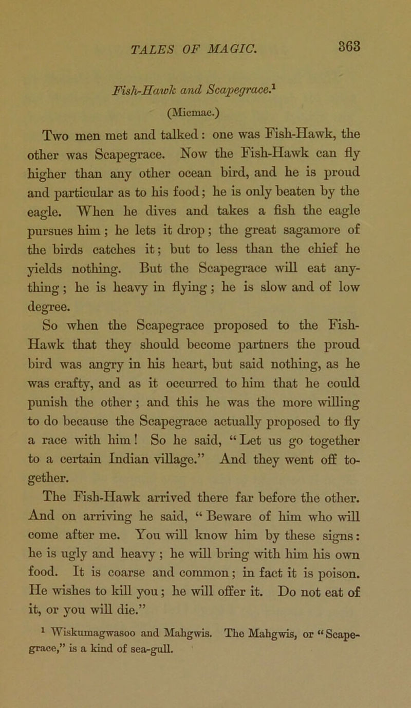 Fish-Hawk and Scapegrace.* (Micmac.) Two men met and talked: one was Fish-Hawk, the other was Scapegrace. Now the Fish-Hawk can fly higher than any other ocean hird, and he is proud and particular as to his food; he is only beaten by the eagle. When he dives and takes a fish the eagle pursues him; he lets it drop; the great sagamore of the birds catches it; but to less than the chief he yields nothing. But the Scapegrace will eat any- thing ; he is heavy in flying; he is slow and of low degree. So when the Scapegrace proposed to the Fish- Hawk that they should become partners the proud bird was angry in his heart, but said nothing, as he was crafty, and as it occurred to him that he could punish the other ; and this he was the more willing to do because the Scapegrace actually proposed to fly a race with him! So he said, “ Let us go together to a certain Indian village.” And they went off to- gether. The Fish-Hawk arrived there far before the other. And on arriving he said, “ Beware of him who will come after me. You will know him by these signs: he is ugly and heavy ; he will bring with him his own food. It is coarse and common; in fact it is poison. He wishes to kill you; he will offer it. Do not eat of it, or you will die.” 1 Wiskumagwasoo and Mahgwis. The Mahgwis, or “ Scape- grace,” is a kind of sea-gull.