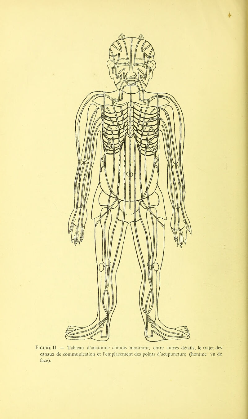 ♦ Figure II. — Tableau d’anatomie chinois montrant, entre autres détails, le trajet des canaux de communication et l’emplacement des points d’acupuncture (homme vu de face).