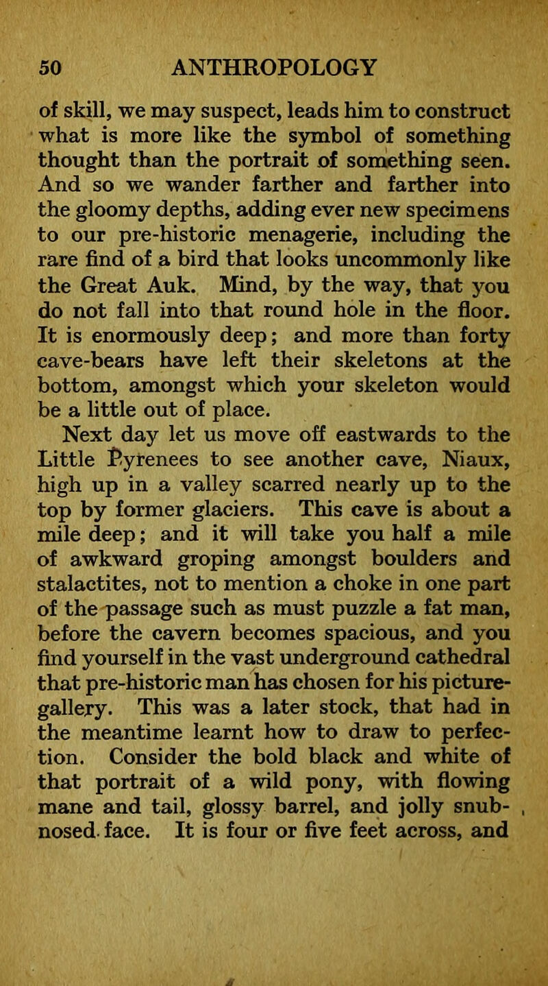 of skill, we may suspect, leads him to construct what is more like the symbol of something thought than the portrait of something seen. And so we wander farther and farther into the gloomy depths, adding ever new specimens to our pre-historic menagerie, including the rare find of a bird that looks uncommonly like the Great Auk. Mind, by the way, that you do not fall into that round hole in the floor. It is enormously deep; and more than forty cave-bears have left their skeletons at the bottom, amongst which your skeleton would be a little out of place. Next day let us move off eastwards to the Little Pyrenees to see another cave, Niaux, high up in a valley scarred nearly up to the top by former glaciers. This cave is about a mile deep; and it will take you half a mile of awkward groping amongst boulders and stalactites, not to mention a choke in one part of the passage such as must puzzle a fat man, before the cavern becomes spacious, and you find yourself in the vast imderground cathedral that pre-historic man has chosen for his picture- gallery. This was a later stock, that had in the meantime learnt how to draw to perfec- tion. Consider the bold black and white of that portrait of a wild pony, with flowing mane and tail, glossy barrel, and jolly snub- , nosed face. It is four or five feet across, and