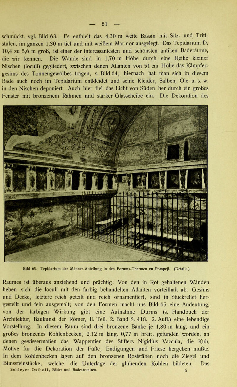 schmückt, vgl. Bild 63. Es enthielt das 4,30 m weite Bassin mit Sitz- und Tritt- stufen, im ganzen 1,30 m tief und mit weißem Marmor ausgelegt. Das Tepidarium D, 10,4 zu 5,6 m groß, ist einer der interessantesten und schönsten antiken Baderäume, die wir kennen. Die Wände sind in 1,70 m Höhe durch eine Reihe kleiner Nischen (loculi) gegliedert, zwischen denen Atlanten von 51 cm Höhe das Kämpfer- gesims des Tonnengewölbes tragen, s. Bild 64; hiernach hat man sich in diesem Bade auch noch im Tepidarium entkleidet und seine Kleider, Salben, Öle u. s. w. in den Nischen deponiert. Auch hier fiel das Licht von Süden her durch ein großes Fenster mit bronzenem Rahmen und starker Glasscheibe ein. Die Dekoration des Bild 65. Tepidarium der Männer-Abteilung in den Forums-Thermen zu Pompeji. (Details.) Raumes ist überaus anziehend und prächtig: Von den in Rot gehaltenen Wänden heben sich die loculi mit den farbig behandelten Atlanten vorteilhaft ab. Gesims und Decke, letztere reich geteilt und reich ornamentiert, sind in Stuckrelief her- gestellt und fein ausgemalt; von den Formen macht uns Bild 65 eine Andeutung, von der farbigen Wirkung gibt eine Aufnahme Durms (s. Handbuch der Architektur, Baukunst der Römer, II. Teil, 2. Band S. 418. 2. Aufl.) eine lebendige Vorstellung. In diesem Raum sind drei bronzene Bänke je 1,80 m lang, und ein großes bronzenes Kohlenbecken, 2,12 m lang, 0,77 m breit, gefunden worden, an denen gewissermaßen das Wappentier des Stifters Nigidius Vaccula, die Kuh, Motive für die Dekoration der Füße, Endigungen und Friese hergeben mußte. In dem Kohlenbecken lagen auf den bronzenen Roststäben noch die Ziegel und Bimssteinstücke, welche die Unterlage der glühenden Kohlen bildeten. Das Schleyer-Osthoff, Bäder und Badeanstalten. 5