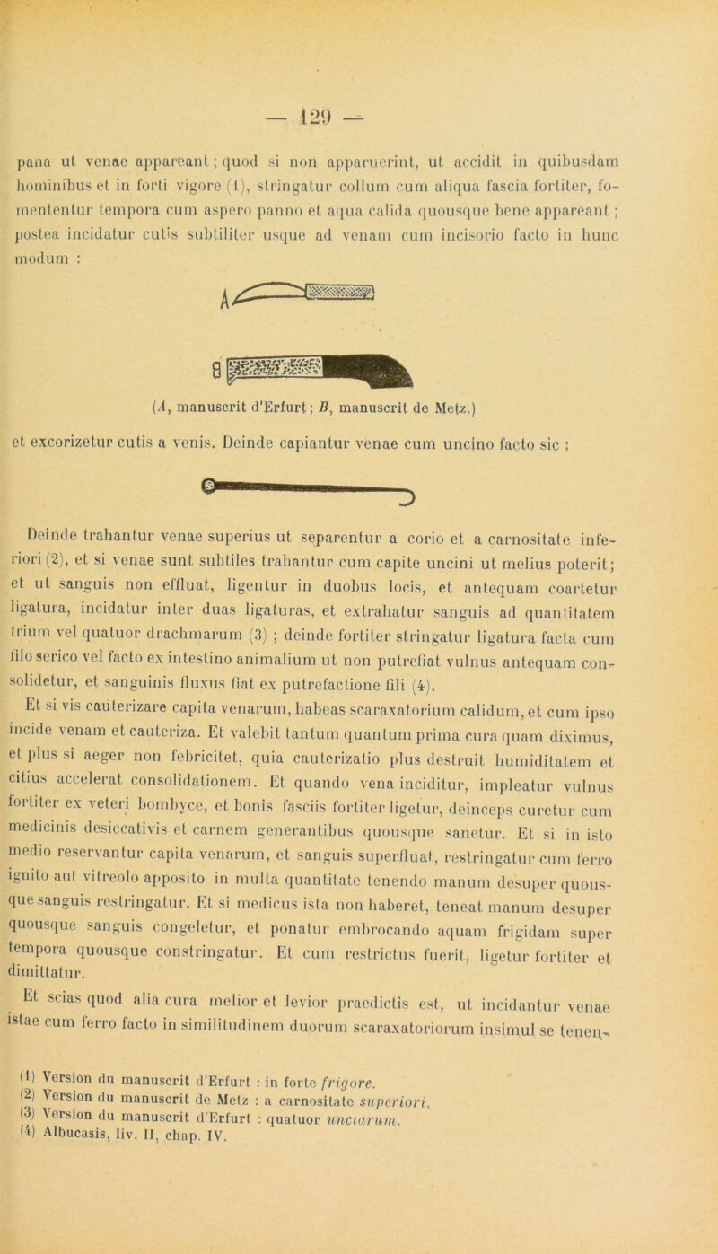 pana ut venae appareant; quod si non apparuerint, ut accidit in quibusdam hominibus et in forti vigore (t), stringatur collum cum aliqua fascia fortiter, fo- mententur tempora cum aspero panno et aqua calida quousque bene appareant; postea incidatur cutis subtiliter usque ad venam cum incisorio facto in hunc modum : et excorizetur cutis a venis. Deinde capiantur venae cum uncino facto sic : Deinde trahantur venae superius ut separentur a corio et a carnositate infe- riori (2), et si venae sunt subtiles trahantur cum capite uncini ut melius poterit; et ut sanguis non elfluat, ligentur in duobus locis, et antequam coartetur ligatura, incidatur inter duas ligaturas, et extrahatur sanguis ad quantitatem tiium \el quatuor drachmarum (3) ; deinde fortiter stringatur ligatura facta cum filo seiico vel lacto ex intestino animalium ut non putrefiat vulnus antequam con- solidetur, et sanguinis fluxus fiat ex putrefactione fili (4). Et si vis caiiterizare capita venarum, habeas scaraxatorium calidum, et cum ipso incide venam et cauteriza. Et valebit tantum quantum prima cura quam diximus, et plus si aeger non febricitet, quia cauterizatio plus destruit humiditatem et citius accelerat consolidationem. Et quando vena inciditur, impleatur vulnus fortiter ex veteri bombyce, et bonis fasciis fortiter ligetur, deinceps curetur cum medicinis desiccativis et carnem generantibus quousque sanetur. Et si in isto medio reservantur capita venarum, et sanguis superfluat, restringatur cum ferro ignito aut vitreolo apposito in multa quantitate tenendo manum desuper quous- que sanguis restringatur. Et si medicus ista non haberet, teneat manum desuper quousque sanguis congeletur, et ponatur embrocando aquam frigidam super tempora quousque constringatur. Et cum restrictus fuerit, ligetur fortiter et dimittatur. Et scias quod alia cura melior et levior praedictis est, ut incidantur venae istae cum ferro facto in similitudinem duorum scaraxatoriorum insimul se teiiei\- (1) Version du manuscrit d’Erfurt : in forle frigore. (2) Version du manuscrit dc Metz : a carnositate superiori. (3) Version du manuscrit d’Erfurt : quatuor unciarum. (4) Albucasis, liv. II, chap. IV. (d, manuscrit d’Erfurt; D, manuscrit de Metz,) D