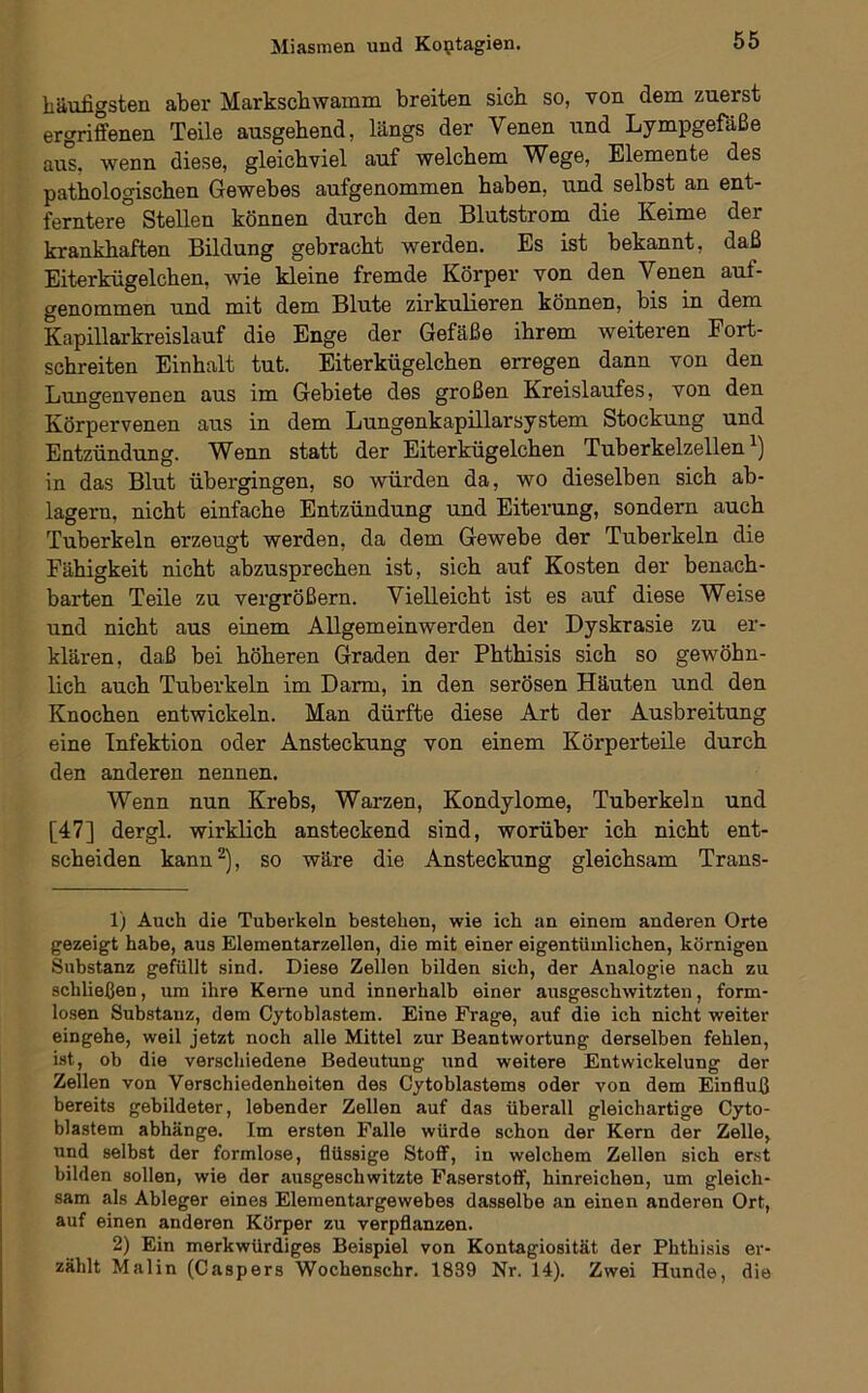 häufigsten aber Markschwamm breiten sich so, von dem zuerst ergriffenen Teile ausgehend, längs der Venen und Lympgefäße aus, wenn diese, gleichviel auf welchem Wege, Elemente des pathologischen Gewebes aufgenommen haben, und selbst an ent- ferntere Stellen können durch den Blutstrom die Keime der krankhaften Bildung gebracht werden. Es ist bekannt, daß Eiterkügelchen, wie kleine fremde Körper von den Venen auf- genommen und mit dem Blute zirkulieren können, bis in dem Kapillarkreislauf die Enge der Gefäße ihrem weiteren Eort- schreiten Einhalt tut. Eiterkügelchen erregen dann von den Lungenvenen aus im Gebiete des großen Kreislaufes, von den Körpervenen aus in dem Lungenkapillarsystem Stockung und Entzündung. Wenn statt der Eiterkügelchen Tuberkelzellen in das Blut übergingen, so würden da, wo dieselben sich ab- lagern, nicht einfache Entzündung und Eiterung, sondern auch Tuberkeln erzeugt werden, da dem Gewebe der Tuberkeln die Fähigkeit nicht abzusprechen ist, sich auf Kosten der benach- barten Teile zu vei’größern. Vielleicht ist es auf diese Weise und nicht aus einem Allgemeinwerden der Dyskrasie zu er- klären, daß bei höheren Graden der Phthisis sich so gewöhn- lich auch Tubei’keln im Darm, in den serösen Häuten und den Knochen entwickeln. Man dürfte diese Art der Ausbreitung eine Infektion oder Ansteckung von einem Körperteile durch den anderen nennen. Wenn nun Krebs, Warzen, Kondylome, Tuberkeln und [47] dergl. wirklich ansteckend sind, worüber ich nicht ent- scheiden kann^), so wäre die Ansteckung gleichsam Trans- 1) Auch die Tuberkeln bestehen, wie ich an einem anderen Orte gezeigt habe, aus Elementarzellen, die mit einer eigentümlichen, körnigen Substanz gefüllt sind. Diese Zellen bilden sich, der Analogie nach zu schließen, um ihre Kerne und innerhalb einer ausgeschwitzten, form- losen Substanz, dem Cytoblastem. Eine Frage, auf die ich nicht weiter eingehe, weil jetzt noch alle Mittel zur Beantwortung derselben fehlen, ist, ob die verschiedene Bedeutung und weitere Entwickelung der Zellen von Verschiedenheiten des Cytoblastems oder von dem Einfluß bereits gebildeter, lebender Zellen auf das überall gleichartige Cyto- blastem abhänge. Im ersten Falle würde schon der Kern der Zelle, und selbst der formlose, flüssige Stoff, in welchem Zellen sich erst bilden sollen, wie der ausgeschwitzte Faserstoff, hinreichen, um gleich- sam als Ableger eines Elementargewebes dasselbe an einen anderen Ort, auf einen anderen Körper zu verpflanzen. 2) Ein merkwürdiges Beispiel von Kontagiosität der Phthisis er- zählt Malin (Caspers Wochenschr. 1839 Nr. 14). Zwei Hunde, die