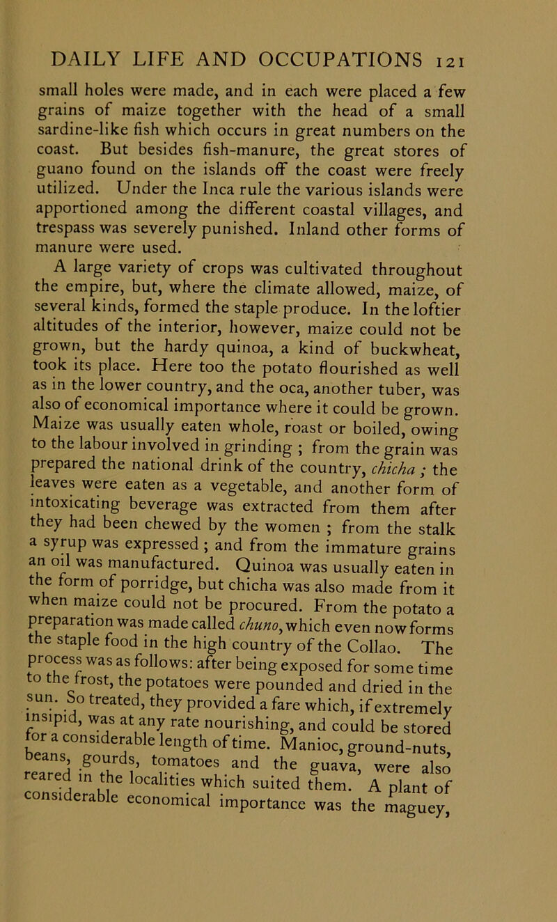 small holes were made, and in each were placed a few grains of maize together with the head of a small sardine-like fish which occurs in great numbers on the coast. But besides fish-manure, the great stores of guano found on the islands off the coast were freely utilized. Under the Inca rule the various islands were apportioned among the different coastal villages, and trespass was severely punished. Inland other forms of manure were used. A large variety of crops was cultivated throughout the empire, but, where the climate allowed, maize, of several kinds, formed the staple produce. In the loftier altitudes of the interior, however, maize could not be grown, but the hardy quinoa, a kind of buckwheat, took its place. Here too the potato flourished as well as in the lower country, and the oca, another tuber, was also of economical importance where it could be grown. Maize was usually eaten whole, roast or boiled, owing to the labour involved in grinding ; from the grain was prepared the national drink of the country, chicha ; the leaves were eaten as a vegetable, and another form of intoxicating beverage was extracted from them after they had been chewed by the women ; from the stalk a syrup was expressed ; and from the immature grains an oil was manufactured. Quinoa was usually eaten in the form of porridge, but chicha was also made from it when maize could not be procured. From the potato a preparation was made called chuno, which even now forms the staple food in the high country of the Collao. The process was as follows: after being exposed for some time to the frost, the potatoes were pounded and dried in the sun. So treated, they provided a fare which, if extremely insipid, was at any rate nourishing, and could be stored for a considerable length of time. Manioc, ground-nuts reaTed inT^’ *°“atoes and the guava. were also eared in the localities which suited them. A plant of considerable economical importance was the maguey