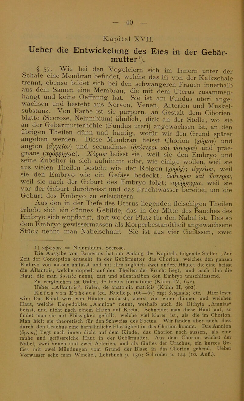 Kapitel XVII. Ueber die Entwickelung des Eies in der Gebär- mutter1). § 57• Wie bei den Vogeleiern sich im Innern unter der Schale eine Membran befindet, welche das Ei von der Kalkschale tiennt, ebenso bildet sich bei den schwangeren Frauen innerhalb aus dem Samen eine Membran, die mit dem Uterus zusammen- hdngt und keine Oeffnung hat. Sie ist am Fundus uteri ange- wachsen und besteht aus Nerven, Venen, Arterien und Muskel- substanz. Von Farbe ist sie purpurn, an Gestalt dem Ciborien- blatte (Seerose, Nelumbium) ähnlich, dick an der Stelle, wo sie an der Gebärmutterhöhle (Fundus uteri) angewachsen ist, an den übrigen Theilen dünn und häutig, wofür wir den Grund später angeben werden. Diese Membran heisst Chorion (/öqiov) und angion (ayyelov) und secundinae (öevzeQov xcci vozsqov) und prae- gnans (iTQOQQTjy/.ia). Xoqlov heisst sie, weil sie den Embryo und seine Zubehör in sich aufnimmt oder, wie einige wollen, weil sie aus vielen Theilen besteht wie der Reigen (yopog); ayyelov, weil sie den Embryo wie ein Gefäss bedeckt; öevzeQov xai votsqov, weil sie nach der Geburt des Embryo folgt; nQOQQJ]yf.ta, weil sie vor der Geburt durchreisst und das Fruchtwasser bereitet, um die Geburt des Embryo zu erleichtern. Aus den in der liefe des Uterus liegenden fleischigen Theilen erhebt sich ein dünnes Gebilde, das in der Mitte des Bauches des Embryo sich einpflanzt, dort wo der Platz für den Nabel ist. Das so dem Embryo gewissermassen als Körperbestandtheil angewachsene Stück nennt man Nabelschnur. Sie ist aus vier Gefässen, zwei l) y.cßcupiov = Nelumbium, Seerose. Die Ausgabe von Ermerins hat am Anfang des Kapitels folgende Stelle: ,.Zur Zeit der Conception entsteht in der Gebärmutter das Chorion, welches den ganzen Embryo von aussen umfasst und mit ihm zugleich zwei andere Häute; die eine heisst die Allantois, welche doppelt auf den Theilen der Frucht liegt, und nach ihm die Haut, die man dpvetöc nennt, zart und allenthalben den Embryo umschliessend. Zu vergleichen ist Galen, de foetus formatione (Kühn IV, 652). Ueber „Allantois“, Galen, de anatomia matricis (Kühn II, 902). Rufus von Ephesus (ed. Ruelle p. 166—67) rcept o'voixa<n«; etc. Hier lesen wir: Das Kind wird von Häuten umfasst, zuerst von einer dünnen und weichen Haut, welche Empedoldes „Amnion“ nennt, weshalb auch die Ilithyia „Amnias“ heisst, und nicht nach einem Hafen auf Kreta. Schneidet man diese Haut auf, so findet man sie mit Flüssigkeit gefüllt, welche viel klarer ist, als die im Chorion. Man hielt sie theoretisch für den Schweiss des Foetus Wir fanden aber auch, dass durch den Urachus eine harnähnliche Flüssigkeit in das Chorion kommt. Das Amnion (äp.vioc) liegt nach innen dicht auf dem Kinde, das Chorion nach aussen, als eine rauhe und gefässreiche Flaut in der Gebärmutter. Aus dem Chorion wächst der Nabel, zwei Venen und zwei Arterien, und als fünftes der Urachus, ein kurzes Ge- fäss mit zwei Mündungen vom Grund der Blase in das Chorion gehend. Ueber Vorwasser sehe man Winckel, Lehrbuch p. 139; Schröder p. 144 (10. Aufl.).