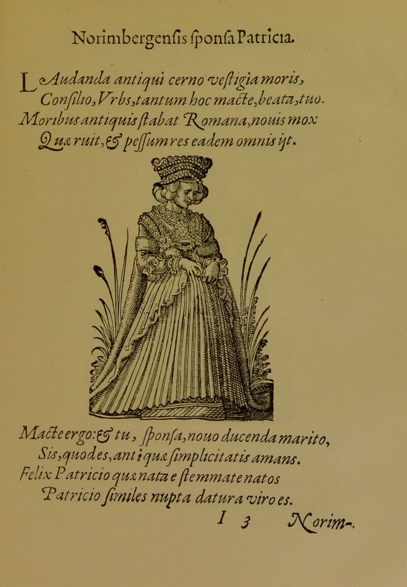 Norimbcrgenfis fponfa Patricia. antiqui cerno veftigMynoris, ConfiltOj Vrbs^tantum hoc matle-^beatn^tHO. Morthmanttquisfiabat ^Bsomana^nouismox mit, ^ pejfi^m res eadem ornnis ijt. Ma^feergo:^ tu^ Jponfa^nono ducendamarito^ SIsjqmd es, ant iqmfmplicitatis amans, Felix P atricio qm nata e ftemmatenatos FPatrkio firmles nupta datura viroes,