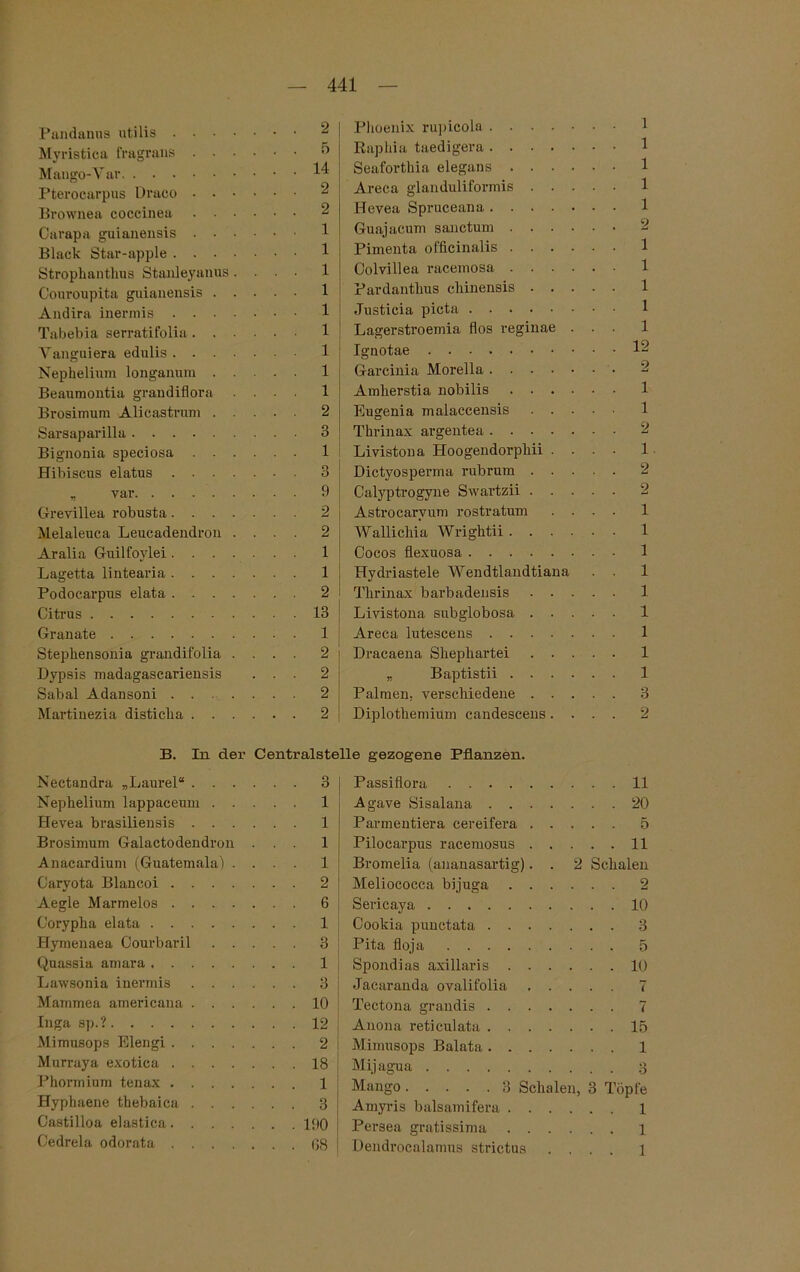 Pandanus utilis . . Myristica fragrans . Mango-Y ar Ptei'ocarpus Draeo • Brownea coccinea Oarapa guianensis . Black Star-apple . . Stropkanthus Stanleyanus Couroupita guianensis Andira inermis . . Tabebia serratifolia . Yanguiera edulis . . Nephelium longanum Beaumontia grandiflora Brosimum Ali castrum Sarsaparilla .... Bignonia speciosa Hibiscus elatus . . „ var. . . . Grevillea robusta. . Melaleuca Leucadendron Aralia Guilfoylei . . Lagetta lintearia . . Podocarpus elata . . Citrus Granate Stephensonia grandifolia Dypsis madagascariensis Sabal Adansoni . . Martinezia disticha . ö 14 2 2 1 1 1 1 1 1 1 1 1 2 3 1 3 9 2 2 1 1 2 13 1 2 2 2 2 Phoenix rupicola .... Rapliia taedigera .... Seaforthia elegans . . . Areca glanduliformis . . Hevea Spruceana .... Guajacum sanctum . . . Pimenta officinalis . . . Colvillea racemosa . . . Pardantlius chinensis . . Justicia picta Lagerstroemia flos reginae Ignotae Garcinia Morella .... Amherstia nobilis . . . Eugenia malaccensis . . Thrinax argentea .... Livistona Hoogendorphii . Dictyosperma rubrum . . Calyptrogyne Swartzii . . Astrocarvum rostratum Wallicliia Wrightii . . . Cocos flexuosa Hydriastele Wendtlandtiana Thrinax barbadeusis . • Livistona subglobosa . . Areca lutescens .... Dracaena Sliepkartei . . „ Baptistii . . . Palmen, verschiedene . . Diplotkemium candescens. 1 1 1 1 1 2 1 1 1 1 1 12 2 1 1 2 1. 2 2 1 1 1 1 1 1 1 1 1 3 2 B. In der Centralstelle gezogene Pflanzen. Nectandra „Laurel“ . . . ... 3 Nephelium lappaceum . . . . . 1 Hevea brasiliensis . . . . . . 1 Brosimum Galactodendron . . . 1 Anaeardium (Guatemala) . . . . 1 Caryota Blancoi .... ... 2 Aegle Marmelos .... ... 6 Corypha elata . . . 1 Hymenaea Courbaril . . ... 3 Quassia amara . . . 1 Lawsonia inermis . . . ... 3 Mammea americana . . . ... 10 Inga sp.? ... 12 Mimusops Elengi .... ... 2 Murraya exotica .... ... 18 Phormium tenax .... . . . 1 Hyphaene thebaica . . . ... 3 Castilloa elastica.... . . . 190 Cedrela odorata .... . . . 08 Passiflora 11 Agave Sisalana 20 Parmentiera cereifera 5 Pilocarpus racemosus 11 Bromelia (ananasartig). . 2 Schalen Meliococca bijuga 2 Sericaya 10 Cookia punctata 3 Pita floja 5 Spondias axillaris 10 Jacaranda ovalifolia 7 Tectona grandis 7 Anona reticulata 15 Mimusops Balata. 1 Mijagua 3 Mango 3 Schalen, 3 Töpfe Amyris balsamifera 1 Persea gratissima 1 Dendrocalamus strictus .... 1