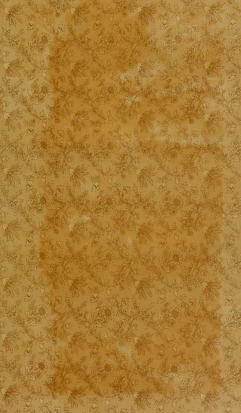 ^'tSXo ’n\,«nS' '!• r 1 ;'iV isfei* , '1^ '■ y*.*7