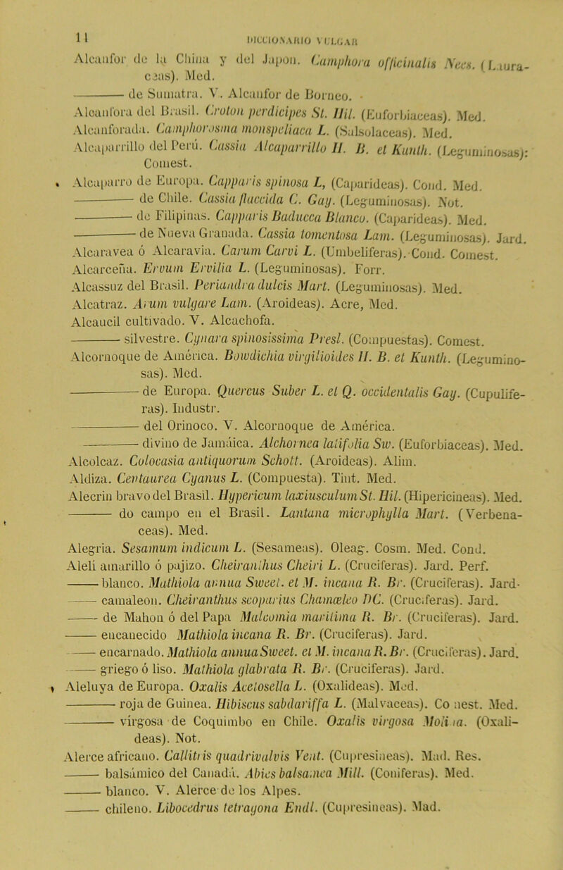 Alcanfor do la China y del Japón. Cumphora ofíicinalis Ñeca. (Laurá- ceas). Med. de Sumatra. V. Alcanfor de Borneo. • Alcanfora del Brasil. Crotun perdieipes Si. llil. (Euforbiáceas). Med. Alcanforada. Camphorosina monspeliaca L. (Salsolaceas). Med. Alcaparrillo del Perú. Cussia Alcaparrillo 11. 11. el Kunlh. (Leguminosas): Comest. Alcaparro de Europa. Capparis spinosa L, (Caparideas). Cond. Med. de Chile. Cassia flaccida C. Gay. (Leguminosas). Not. — de Filipinas. Capparis Baducca Blanco. (Caparideas). Med. — de Nueva Granada. Cassia tomentosa Lam. (Leguminosas). Jard. Alcaravea ó Alcaravia. Carum Carvi L. (Umbelíferas). Cond- Comest. Alcarceña. Ervum Emilia L. (Leguminosas). Forr. Alcassuz del Brasil. Periandra dulcís Mari. (Leguminosas). Med. Alcatraz. Arum vulgare Lam. (Aroideas). Acre, Med. Alcaucil cultivado. V. Alcachofa. -silvestre. Cy nava spinosissima Presl. (Compuestas). Comest. Alcornoque de América. Bowdichia virgilioides II. B. et Kunlh. (Legumino- sas). Med. de Europa. Quercus Súber L. el Q. occidentalis Gay. (Cupulife- ras). Industr. del Orinoco. V. Alcornoque de América. divino de Jamaica. Alchornea lalifolia Siv. (Euforbiáceas). Med. Alcolcaz. Colocasia antiquorum Schott. (Aroideas). Alim. Aldiza. Centaurea Cyanus L. (Compuesta). Tint. Med. Alecrín bravo del Brasil. Hypericum laxiusculumSt. Ilil. (Hipericineas). Med. do campo en el Brasil. Lantuna micropliylla Mart. (Verbená- ceas). Med. Alegría. Sesamum indicum L. (Sesámeas). Oleag. Cosm. Med. Cond. Alelí amarillo ó pajizo. Cheiranlhus Cheiri L. (Cruciferas). Jard. Perf. blanco. Mathiola ar-nua Sweet. el M. incana B. Br. (Cruciferas). Jard- camaleón. Cheiranlhus scoparius Chamceleo PC. (Cruciferas). Jard. de Mahon ó del Papa Malcomía marítima R. Br. (Cruciferas). Jard. encanecido Mathiola incana R. Br. (Cruciferas). Jard. encarnado. Mathiola annuaSweet. el M. incana R.Br. (Cruciferas). Jard. griego ó liso. Mathiola glabrata R. Br. (Cruciferas). Jard. Aleluya de Europa. Oxalis Acelosella L. (Oxalideas). Med. roja de Guinea. Ilibiscus sabdariffa L. (Malvaceas). Co nest. .Med. vírgosa de Coquimbo en Chile. Oxalis virgosa Molina. (Oxali- deas). Not. Alerce africano. Calliti is quadriva/vis Vent. (Cupresineas). Mad. Res. balsámico del Canadá. Abies balsa,nea Mili. (Coniferas). Med. blanco. V. Alerce de los Alpes. chileno. Libocedrus tetrayona Endl. (Cupresineas). Mad.