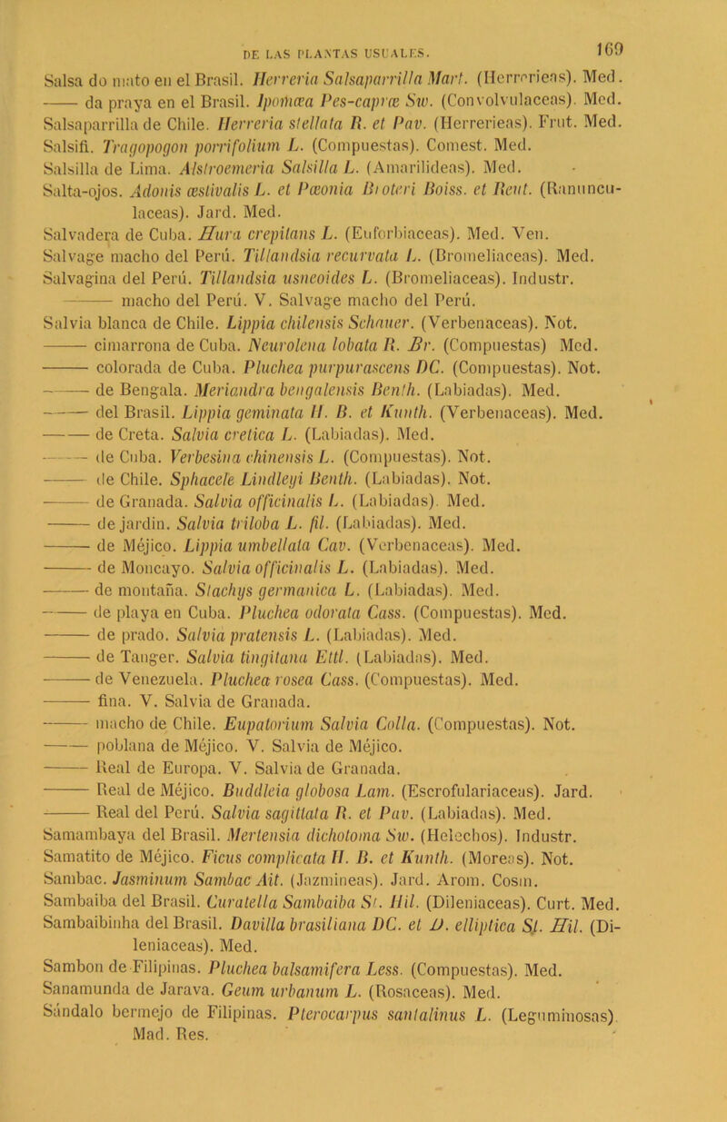 ICO Salsa do mato en el Brasil. Herrería Salsaparrilla Mari. (Herrerieas). Med. da praya en el Brasil. Ipoihcea Pes-caprce Sw. (Convolvuláceas). Med. Salsaparrilla de Chile. Herrería slellata R. et Pav. (Herrerieas). Frut. Med. Salsifí. Tragopogón porrifolium L. (Compuestas). Comest. Med. Salsilla de Lima. Alstroemeria Salsilla L. (Amarilideas). Med. Salta-ojos. Adonis ceslivalis L. et Pceonia Bioteri lioiss. et Reut. (Ranuncu- láceas). Jard. Med. Salvadera de Cuba. Hura crepilans L. (Euforbiáceas). Med. Ven. Salvage macho del Perú. Tillandsia recúrvala L. (Bromeliaceas). Med. Salvajina del Perú. Tillandsia usneoides L. (Bromeliaceas). Industr. macho del Perú. V. Salvage macho del Perú. Salvia blanca de Chile. Lippia chilensis Sehauer. (Verbenáceas). Not. cimarrona de Cuba. Neurolena lobata R. Br. (Compuestas) Med. colorada de Cuba. Pluchea purpurascens DC. (Compuestas). Not. de Bengala. Meriandra bengalensis Benlh. (Labiadas). Med. del Brasil. Lippia geminata //. B. et Kunth. (Verbenáceas). Med. de Creta. Salvia crética L. (Labiadas). Med. — de Cuba. Verbesina chinen sis L. (Compuestas). Not. de Chile. Spliaceíe Lindleyi Benlh. (Labiadas). Not. de Granada. Salvia officinalis L. (Labiadas). Med. de jardín. Salvia triloba L. fil. (Labiadas). Med. de Méjico. Lippia umbellala Cav. (Verbenáceas). Med. de Moncayo. Salvia officinalis L. (Labiadas). Med. de montaña. Stachys germánica L. (Labiadas). Med. de playa en Cuba. Pluchea odor ala Cass. (Compuestas). Med. de prado. Salvia pratensis L. (Labiadas). Med. de Tánger. Salvia tingitana Ettl. (Labiadas). Med. de Venezuela. Pluchea rosea Cass. (Compuestas). Med. fina. V. Salvia de Granada. macho de Chile. Eupatorium Salvia Colla. (Compuestas). Not. poblana de Méjico. V. Salvia de Méjico. Real de Europa. V. Salvia de Granada. Real de Méjico. Buddleia globosa Lam. (Escrofulariaceas). Jard. Real del Perú. Salvia sagitlata R. et Pav. (Labiadas). Med. Samambaya del Brasil. Merlensia dichotoma Sw. (Heléchos). Industr. Samatito de Méjico. Ficus complicata II. B. et Kunth. (Moreas). Not. Sambac. Jasminum Sambac Ait. (Jazmíneas). Jard. Arom. Cosin. Sambaiba del Brasil. Curatella Sambaiba Si. tíil. (Dileniaceas). Curt. Med. Sambaibinha del Brasil. Panilla brasiliana DC. el D. elliptica Stl. Hil. (Di- leniaceas). Med. Sambon de Filipinas. Pluchea balsamifera Less. (Compuestas). Med. Sanamunda de Jarava. Geum urbanum L. (Rosaceas). Med. Sándalo bermejo de Filipinas. Pterocarpus santalinus L. (Leguminosas) Mad. Res.