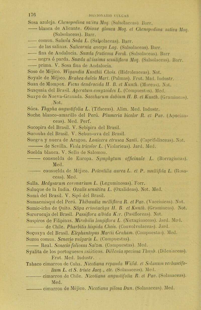 Sosa azuleja. Chenopodina saliva Moq. (Salsolaceas) Barr. blanca de Alicante. Obione glauca Moq. el Chenopodina saliva Moq. (Salsolaceas). IJarr. común. Salsola Soda L. (Salsolaceas). Barr. de las salinas. Salicornia anceps Lag. (Salsolaceas). Barr. fina de Andalucía. Suceda fruticosa Forsk. (Salsolaceas). Barr negra ó parda. Suceda aliissima sessili/lora Moq. (Salsolaceas). Barr. prima. V. Sosa fina de Andalucía. Soso de Méjico. I Vi gandía Kunthii Cliois. (Hidroleaceas). Not. Soyale de Méjico. Bvahea dulcís Mari. (Palmas). Frut. Mad. íudustr. Suan de Mompox. Ficus dendrocida II. B. et Kunth. (Moréis). X >t. Suaquaia del Brasil. Ageratum congzoides L. (Compuestas). Med. Suaye de Nueva-Granada. Saccharum dubium II. B. el Kuntli. (Gramíneas). Not. Suca. Tliypha angustí folia L. (Tifáceas). Alim. Med. Industr. Suche blanco-amarillo del Perú. Plumería bicolor R. el Pav. (Apociaa- ceas). Med. Perf. Sucopira del Brasil. V. Sebipira del Brasil. Sucuuba del Brasil. V. Sebun-uva del Brasil. Suegra y nuera de Aragón. Lonicera ctrusca Santi. (Caprifoliáceas). Not. de Sevilla. Viola tricolor L. (Violarieas). Jard. Med. Suelda blanca. V. Sello de Salomón. consuelda de Europa. Symphytum officinale L. (Borragincas). Med. consuelda de Méjico. Potentilla aurea L. el P. mullifula L. (Tiusa- ceas). Med. Sulla. Hedysarum coronarium L. (Leguminosas). Forr. Suluque de la India. Oxalis sensitiva L. (Oxalideas). Not. Med. Suma del Brasil. V. Sipo del Brasil. Sumacmisqui del Perú. Tliibaudia mclliflora R. etPav. (Vaccinieas). Not. Sumic-ichu de Quito. Stipa erioslacliya II. B. et Kunth. (Gramíneas). Not. Sururucuja del Brasil. Passiflora alinda Ker. (Pasiflóreas). Not. Suspiros de Filipinas. Mirabilis longiflora L (Nictaginaceas). Jard. .Med. de Chile. Pharbitis hispida Cliois. (Convolvuláceas). Jard. SuQuaya del Brasil. Elephantopus Martii Graham. (Compuestas). Med. Suzon común. Senecio vulgaris L. (Compuestas). Real. Senecio foliosus Salzm. (Compuestas). Med. Syalita de los portugueses asiáticos. Dillenia speciosa l'hnnb. (Dden aceas). Frut. Med. Industr. Tabaco cimarrón de Cuba. Nicotiana repanda Willd. el Solanuin verbascifo- lium L. etS. triste Jacq., etc. (Solanáceas). Med. cimarrón de Chile. Nicotiana anguslifolia R. el Pav. (Solanáceas). Med. cimarrón de Méjico. Nicotiana pilosa Dun. (Solanáceas). Med.