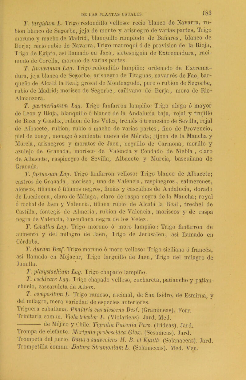 T. turgidum L. Trigo redondillo velloso: recio blanco de Navarra, ra- bión blanco de Segorbe, jeja de monte y arisnegro de varias partes, Trigo moruno y macho de Madrid, blanquillo ramplndo de Bañares, blanco de Borja; recio rubio de Navarra, Trigo marroquí ó de provisión de la Rioja, Trigo de Egipto, asi llamado en Jaca, sietespiguin de Extremadura, raci- mudo de Corella, moruno de varias partes. T. linnceanum Lag. Trigo redondillo lampiño: ordenado de Extrema- dura, jeja blanca de Segorbe, arisnegro de Titaguas, navarrés de Fao, bar- qucño de Alcalá la Real; grosal de Monteagudo, puro ó rubion de Segorbe, rubio de Madrid; morisco de Segorbe, cañivano de Berja, moro de Rio- Almanzora. T. gcertneñanum Lag. Trigo fanfarrón lampiño: Trigo alaga ó mayor de León y Rioja, blanquillo ó blanco de la Andalucía baja, rojal y trujillo de Baza y Guadix, rubion de los Yelez, tremés ó tremesino de Sevilla, rojal de Albacete, rubion, rubio ó macho de varias partes, fino de Provencio, piel de buey, monago ó simiente nueva de Mérida; jijona de la Mancha y Murcia, arisnegros y moratos de Jaén, negrillo de Carmona, morillo y azulejo de Granada, morisco de Valencia y Condado de Niebla, claro de Albacete, raspinegro de Sevilla, Albacete y Murcia, bascuñana de Granada. T. fastuosum Lag. Trigo fanfarrón velloso: Trigo blanco de Albacete; castros de Granada , morisco, uno de Valencia, raspinegros, salmerones, alonsos, fiñanas ó tíñanos negros, fimias y cascalbos de Andalucía, dorado de Lucainena, claro de Málaga, claro de raspa negra déla Mancha; royal ó rochal de Jaén y Valencia, fiñana rubio de Alcalá la Real, trechel de Castilla, fontegís de Almería, rubion de Valencia, moriscos y de raspa negra de Valencia, bascuñana negra de los Velez. T. Cevallos Lag. Trigo moruno ó moro lampiño: Trigo fanfarrón de aumento y del milagro de Jaén, Trigo de Jerusalen, así llamado en Córdoba. T. durum Desf. Trigo moruno ó moro velloso: Trigo siciliano ó francés, asi llamado en Mojacar, Trigo largadlo de Jaén, Trigo del milagro de Jumilla. T. plalystachium Lag. Trigo chapado lampiño. T. cotilleare Lag. Trigo chapado velloso, cuchareta, patiancho y patian- chuelo, cascaruleta de Albox. T. compositim L. Trigo ramoso, racimal, de San Isidro, de Esmirna, y del milagro, mera variedad de especies anteriores. Triguera caballuna. Plialaris ccerulescens Desf. (Gramíneas). Forr. Trinitaria común. Viola tricolor L. (Violarieas). Jard. Med. de Méjico y Chile. Tigridia Pavonia Pers. (Irideas). Jard. Trompa de elefante. Marlynia proboscidea Glox. (Sesámeas). Jard. Trompeta del juicio. Datura smveolens II. B. et Kunth. (Solanáceas). Jard. Trompetilla común. Datura StramoniumL. (Solanáceas). Med. Ven.