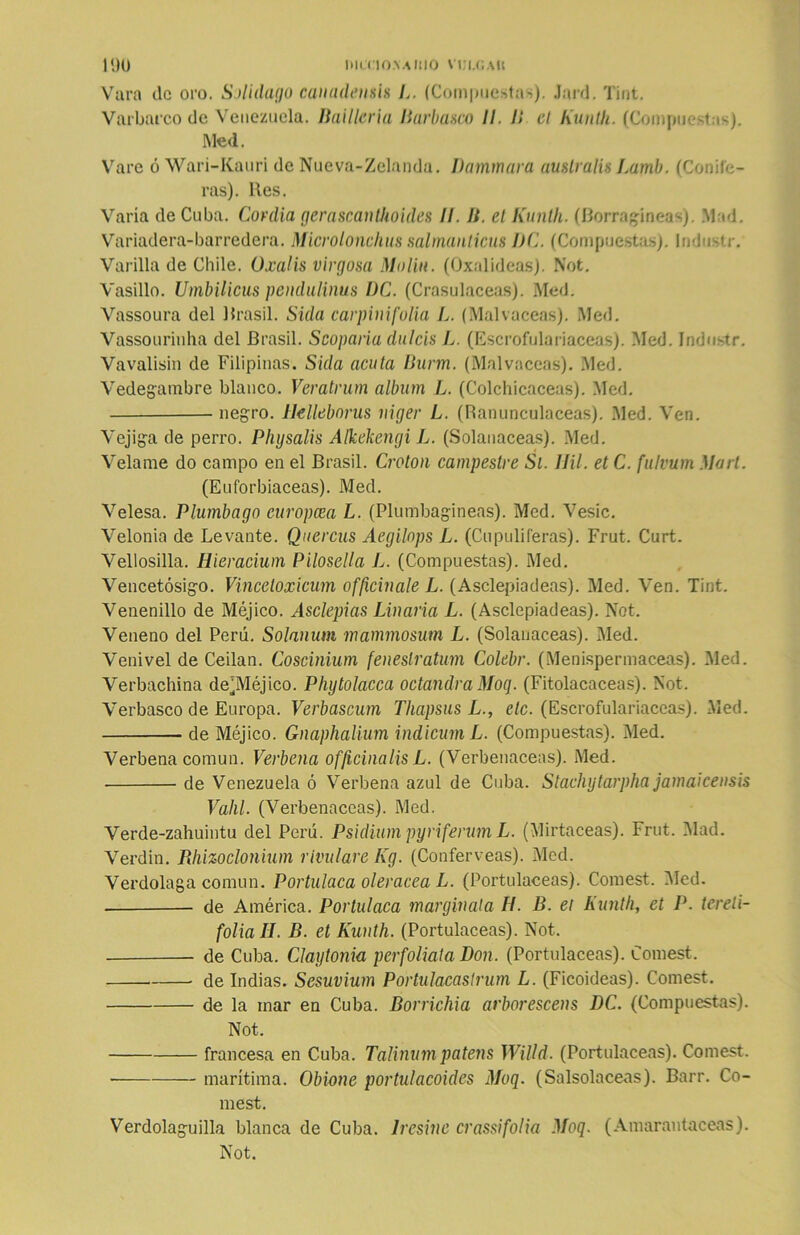 IML'C|0.\AltlO V13I.GAlt 11)0 Vara de oro. Sjl'ulago canadensis L. (Compuestas). Jard. Tint. Varbarco de Venezuela. Baillcria Barbasco II. 11 el Kunth. (Compuestas). Med. Vare ó Wari-Kauri de Nueva-Zelanda. Dammara auslralis Lamb. (Conife- ras). Res. Varía de Cuba. Covdia gerascanthoides II. II. el Kunth. (Borragineas). Mad. Variadera-barredera. Microlonchus salmanticus J)C. (Compuestas). Industr. Varilla de Chile. Oxalis virgosa Molin. (Oxalideas). Not. Vasillo. Umbilicus pendulinus DC. (Crasulaceas). Med. Vassoura del Brasil. Sida carpinifolia L. (Malvaceas). Med. Vassouriuha del Brasil. Scoparia dulcís L. (Escrofulariaceas). Med. Industr. Vavalisin de Filipinas. Sida acuta Durm. (Malvaceas). Med. Vedegambre blanco. Veratrum álbum L. (Colchicaceas). Med. negro. IkUeborus niger L. (Ranunculáceas). .Med. Ven. Vejiga de perro. Physalis Alkekengi L. (Solanáceas). Med. Veíame do campo en el Brasil. Croton campestre Si. UU. et C. fulvum Mari. (Euforbiáceas). Med. Velesa. Plumbago curopcea L. (Plumbagineas). Med. Vesic. Velonia de Levante. Quercus Aegilnps L. (Cu pulí (eras). Frut. Curt. Vellosilla. Hieracium Pilosella L. (Compuestas). Med. Vencetósigo. Vinceloxicum officinale L. (Asclepiadeas). Med. Ven. Tint. Venenillo de Méjico. Asclepias Linaria L. (Asclepiadeas). Not. Veneno del Perú. Solanum mammosum L. (Solanáceas). Med. Venivel de Cedan. Coscinium feneslratum Colebr. (Menispermaceas). Med. Verbachina dejMéjico. Phytolacca octandraMoq. (Fitolacaceas). Not. Verbasco de Europa. Verbascum Thapsus L., etc. (Escrofulariaceas). Med. de Méjico. Gnaphalium indicum L. (Compuestas). Med. Verbena común. Verbena officinalis L. (Verbenáceas). Med. de Venezuela ó Verbena azul de Cuba. Staclujtarpha jamaicensis Valil. (Verbenáceas). Med. Verde-zahuintu del Perú. Psidium pyriferum L. (Mirtáceas). Frut. Mad. Verdín. Pdúzoclonium rivulare Kg. (Conferveas). Med. Verdolaga común. Portulaca olerácea L. (Portulaceas). Comest. Med. de América. Portulaca margínala H. B. et Kunth, et P. tereli- folia II. B. et Kunth. (Portulaceas). Not. de Cuba. Claytonia perfoliata Don. (Portulaceas). Comest. de Indias. Sesuvium Portulacastrum L. (Ficoideas). Comest. de la mar en Cuba. Borrichia arborescens DC. (Compuestas). Not. francesa en Cuba. Talinumpatens Willd. (Portulaceas). Comest. • marítima. Obione portulacoides Moq. (Salsolaceas). Barr. Co- mest. Verdolaguilla blanca de Cuba. Iresine crassifolia Moq. (Amarantaceas). Not.