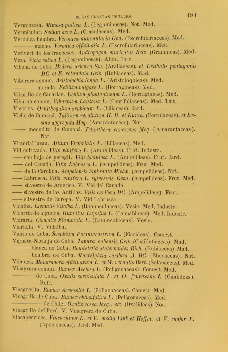 19 1 Vergonzosa. Mimosa púdica L. (Leguminosas). Not. Med. Vermicular. Seüum acre L. (Crasulaceas). Med. Verónica hembra. Verónica nummularia Gou. (Escrofulariaceas). Med. macho. Verónica officinalis L. (Escrofulariaceas). Med. Vetivert de los franceses. Andropogon muricatus lietz. (Gramíneas). Med. Veza. Vicia sativa L. (Leguminosas). Alim. Forr. Vibona de Cuba. Hederá arbórea Sw. (Araliaceas), et Erithalis pentagonia DC. et E. retúndala Gris. (Rubiáceas). Mad. Viborera común. Aristolochia tonga L. (Aristoloquieas). Med. morada. Echium migare L. (Borragineas). Med. Viborillo de Canarias. Echium planlagineum L. (Borragineas). Med. Viburno común. Viburnum Lantana L. (Caprifoliáceas). Med. Tint. Vicarios. Ornithogalum arabicum L. (Liliáceas). Jard. Vicho de Cumaná. Talinum revolutum II. B. et Kunth. (Portulaceas), et ¡re- sine aggregata Moq. (Amarantaceas). Not. menudito de Cumaná. Telanthera canescens Moq. (Amarantaceas). Not. Victorial larga. Allium Victorialis L. (Liliáceas). Med. Vid cultivada. Vitis vinifera L. (Ampelideas). Frut. Industr. con hoja de peregil. Vitis laciniosa L. (Ampelideas). Frut. Jard. del Canadá. Vitis Labrusca L. (Ampelideas). Frut. Med. de la Carolina. Ampelopsis bipinnata Miclix. (Ampelideas). Not. 'Labrusca. Vitis vinifera L. sy Ives tris Gesn. (Ampelideas). Frut. Med. • silvestre de América. V. Vid del Canadá. silvestre de las Antillas. Vitis caribcea DC. (Ampelideas). Frut. silvestre de Europa. V. Vid Labrusca. Vidalba. Clematis Vitalba L. (Ranunculáceas). Vesic. Med. Industr. Vidarria de algunos. IJumulus Lupulus L. (Cannabineas). Med. Industr. Vidraria. Clematis Flammula L. (Ranunculáceas). Vesic. Vidriella. V. Vidalba. Vidrio de Cuba. Sesubium Porlulacastrum L. (Ficoideas). Comest. Vigueta-Naranja de Cuba. Tapura cubensis Gris. (Chailletiaceas). Mad. blanca de Cuba. Rondelelia alaternoides Rich. (Rubiáceas). Mad. hembra de Cuba. Macreightia caribcea A. DC. (Ebenáceas). Not. Vilanera. Mandragora officinarum L. etM. vernalis Bert. (Solanáceas). Med. Vinagrera común. Rumex Acetosa L. (Poligonáceas). Comest. Med. de Cuba. Oxalis cornieulata L. et O. frutescens L. (Oxalideas). Refr. Vinagrerita. Rumex Acetosella L. (Poligonáceas). Comest. Med. Vinagrilla de Cuba. Rumex obtusifolius L. (Poligonáceas). Med. de Chile. Oxalis rosea Jacq., etc. (Oxalideas). Not. Vinagrillo del Perú. V. Vinagrera de Cuba. Vincapervinca. Vinca minor L. et V. media Link et íloffm. et V. major L. (Apocinaceas). Jard. Med.