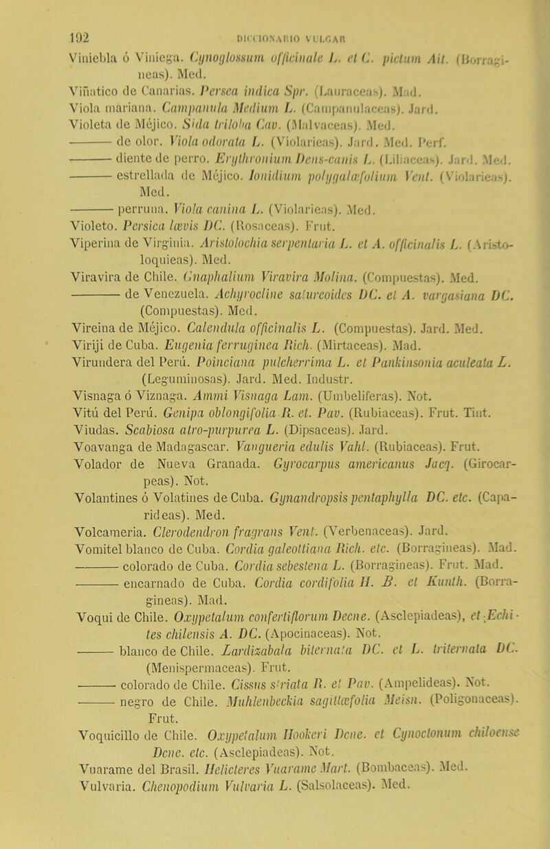 Viniebla ó Viniega. Cynoglossum of/icinale L. el C. pictum Mi. (Borragi- ncas). Med. Viñatico de Canarias. Persea indica Spr. (Lauráceas). Mad. Viola mariana. Campanilla Médium L. (Campanuláceas). Jard. Violeta de Méjico. Sida triloba Cav. (Malvaceas). Med. de olor. Viola odorata L. (Violarieas). Jard. Med. Perf, diente de perro. Enjlhronium Dens-canis /,. (Liliáceas). Jard. Med. estrellada de Méjico, lonidium polyqulcefoliuin Vent. (Violarieas). Med. perruna. Viola canina L. (Violarieas). Med. Violeto. Pérsica leevis DC. (Rosaceas). Frut. Viperina de Virginia. Aristolochia serpentaria L. el A. officinalis L. (Aristo- loquieas). Med. Viravira de Chile. GnaphaUum Viravira Molina. (Compuestas). Med. de Venezuela. Achyrocline salureoides UC. el A. vargasiana DC. (Compuestas). Med. Vireinade Méjico. Caléndula officinalis L. (Compuestas). Jard. Med. Virijí de Cuba. Eugenia ferruginea Fácil. (Mirtáceas). Mad. Virundera del Perú. Poinciana pulcherrima L. et Pankinsonia aculeala L. (Leguminosas). Jard. Med. Industr. Visnaga ó Viznaga. Amrni Visnaga Lam. (Umbelíferas). Not. Vitú del Perú. Genipa oblongifolia R. et. Pav. (Rubiáceas). Frut. Tint. Viudas. Scabiosa atro-purpurea L. (Dipsáceos). Jard. Voavanga de Madagascar. Vangueria edulis Vahl. (Rubiáceas). Frut. Volador de Nueva Granada. Gyrocarpus americanus Jacq. (Girocar- peas). Not. Volantines ó Volatines de Cuba. Gynandropsis pentaphylla DC. etc. (Capa- rideas). Med. Volcameria. Clerodendron fragrans Vent. (Verbenáceas). Jard. Vomitel blanco de Cuba. Cordia galeottiana Rich. etc. (Borragineas). .Mad. colorado de Cuba. Cordia sebestena L. (Borragineas). Frut. Mad. encarnado de Cuba. Cordia cordi folia H. B. et Kunlh. (Borra- gineas). Mad. Voqui de Chile. Oxgpetalum confertiflorum Decne. (Asclepiadeas), et Echi- tes chilensis A. DC. (Apocinaceas). Not. blanco de Chile. Zardizabala bíter na! a DC. et L■ triternala DC. (Menispermaceas). Frut. colorado de Chile. Cissus s’riata R. el Pav. (Ampelideas). Not. negro de Chile. Muhlenbeckia sagitlcefolia Meisn. (Poligonáceas). Frut. Voquicillo de Chile. Oxgpetalum Ilookeri Rene, et Cynoctonum chíbense Dcne. etc. (Asclepiadeas). Not. Vuarame del Brasil. Helicteres Vuarame Mart. (Bombaceas). Med. Vulvaria. Chenópodium Vulvaria L. (Salsolaceas). Med.