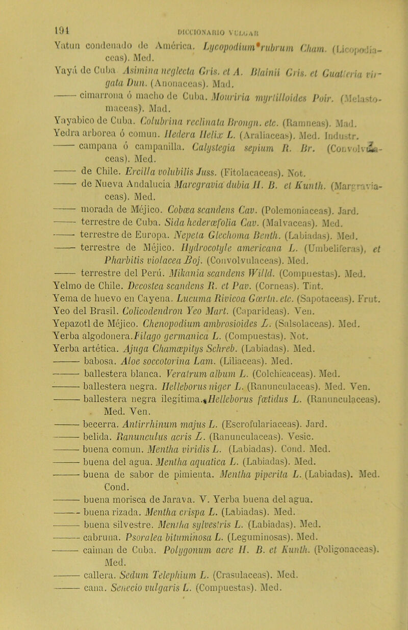 101 DICCIONARIO VCCOAR Yatuu condenado de América. Lycopodium'rubrum Cluim. (Licopodía- ccas). Med. Yaya de Cuba. Asinina neglecta Cris, el A. Blainii Cris, et Cuatleria vilí- gala Dun. (Anonaceas). Mad. cimarrona ó macho de Cuba. Mouriria myrtilloides Puir. (Melasto- maceas)'. Mad. Yayabico de Cuba. Colubrina reclínala Brongn. etc. (Ramneas). Mad. Yedra arbórea ó común. Iledera llelix L. (Araliaceas). Med. lndu-.tr. campana ó campanilla. Calystegia sepium R. ¡ir. (Convolvulá- ceas). Med. de Chile. Ercilla volubilis Juss. (Fitolacaceas). Not. de Nueva Andalucía Marcgravia dubia 11. li. el Kunlh. (Mar; f-avia- ceas). Med. morada de Méjico. Cobcea scandens Cav. (Polcmoniaceas). Jard. terrestre de Cuba. Sida heder ce folia Cav. (Malvaceas). Med. terrestre de Europa. Nepela Glechoma Benth. (Labiadas). Med. terrestre de Méjico. Uydrocotyte americana L. (Umbelíferas), et Pharbitis violácea -Boj. (Convolvuláceas). Med. terrestre del Perú. Miliania scandens Willd. (Compuestas). Med. Yelmo de Chile. Decostea scandens R. et Pav. (Corneas). Tint. Yema de huevo en Cayena. Lucuma Rivicoa Goerln. ele. (Sapotaceas). Frut. Yeo del Brasil. Colicodendvon Yeo Mart. (Caparideas). Yen. Yepazotlde Méjico. Chenopodium ambrosioides L. (Salsolaceas). Med. Yerba algodonera.Filago germánica L. (Compuestas). Not. Yerba artética. Ajuga Chamcepitys Schreb. (Labiadas). Med. babosa. Aloe soccotorina Lam. (Liliáceas). Med. ballestera blanca. Veratrum álbum L. (Colchicaceas). Med. ballestera negra. IJelleborus niger L. (Ranunculáceas). Med. Yen. ballestera negra ilegítima.nllelleborus foetidus L. (Ranunculáceas). Med. Ven. becerra. Antirrhinum majusL. (Escrofulariaceas). Jard. belida. Ranunculus acris L. (Ranunculáceas). Vesic. buena común. Mentha viridis L. (Labiadas). Cond. Med. buena del agua. Mentha aquatica L. (Labiadas). Med. buena de sabor de pimienta. Mentha piperita L. (Labiadas). Med. Cond. buena morisca de Jarava. V. Yerba buena del agua. buena rizada. Mentha crispa L. (Labiadas). Med. buena silvestre. Mentha sylvestris L. (Labiadas). Med. cabruna. Psoralea bituminosa L. (Leguminosas). Med. caimán de Cuba. Polygonum acre ¡I. B. et Kunlh. (Poligonáceas). Med. callera. Seclum Telephium L. (Crasulaceas). Med. cana. Senecio vulgaris L. (Compuestas). Med.