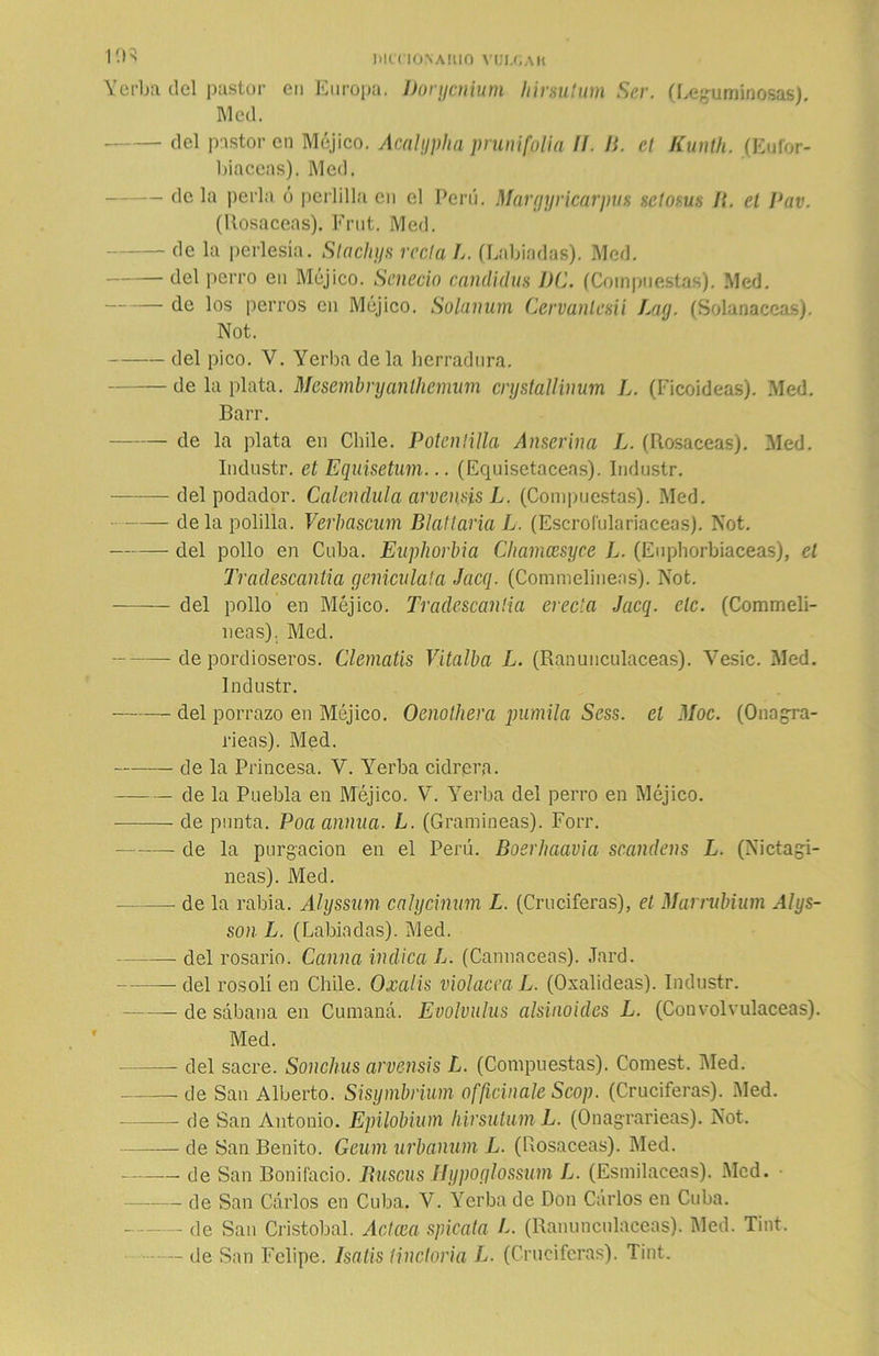 I'.R MITIONAWO VUI.GAH Yerba del pastor en Europa. Borycnium hirsutum Ser. (Leguminosas). Med. del pastor en Méjico. Acalypha prunifolia II. fí. el Kunlh. (Eufor- biáceas). Med. — de la perla ó perlilla en el Perú. Margyricarpus selosus B. el Pav. (Rosaceas). Frut. Med. de la perlesía. Slachys reda /,. (Labiadas). Med. del perro en Méjico. Senecio candidus J)C. (Compuestas). Med. de los perros cu Méjico. Solanum Cervanlmi Lag. (Solanáceas). Not. del pico. V. Yerba déla herradura. de la plata. Mesembryanlhemum crystallinum L. (Ficoideas). Med. Barr. de la plata en Chile. Potenlilla Amerina L. (Rosaceas). Med. Industr. et Equisetum... (Equisetáceas). Industr. del podador. Caléndula arvemis L. (Compuestas). Med. • déla polilla. Verbascum Blatlaria L. (Escrofulariaceas). Not. del pollo en Cuba. Euphorbia Chamcesyce L. (Euphorbiaceas), el Tradescantia geniculata Jacq. (Commelinens). Not. del pollo en Méjico. Tradescanüa erecta Jacq. ele. (Commeli- neas). Med. de pordioseros. Clematis Vitalba L. (Ranunculáceas). Vesic. Med. Industr. del porrazo en Méjico. Oenothera pumila Sess. el Moc. (Onagra- rieas). Med. de la Princesa. V. Yerba cidrera. de la Puebla en Méjico. V. Yerba del perro en Méjico. de punta. Poaannua. L. (Gramíneas). Forr. de la purgación en el Perú. Boerhaavia scandens L. (Nictagi- neas). Med. de la rabia. Alyssum cahjcinum L. (Cruciferas), el Marntbium Alys- son L. (Labiadas). Med. del rosario. Caima indica L. (Cannaceas). Jard. del rosoli en Chile. Oxalis violácea L. (Oxalideas). Industr. de sábana en Cumaná. Evolvulus alsinoides L. (Convolvuláceas). Med. del sacre. Sonchus arvensis L. (Compuestas). Comest. Med. de San Alberto. Sisymbrium officinale Scop. (Cruciferas). Med. de San Antonio. Epilobium hirsutum L. (Onagrarieas). Not. de San Benito. Geum urbanum L. (Rosaceas). Med. de San Bonifacio. Rascas Hypoglossum L. (Esmilaceas). Med. de San Carlos en Cuba. V. Yerba de Don Carlos en Cuba. de San Cristóbal. Adcea spicata L. (Ranunculáceas). Med. Tint. — de San Felipe. Isatis Unctoria L. (Cruciferas). Tint.
