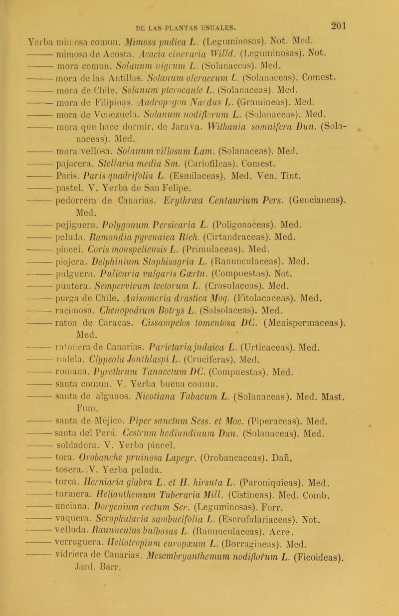 Yerba min¡osa común. Mimosa púdica L. (Leguminosas). Not. Mcd. mimosa de Acosta. Acacia cineraria Willd. (Leguminosas). Not. mora común. Solanum nigruni L. (Solanáceas). Metí. mora délas Antillas. Solanum oleraceum L. (Solanáceas). Comest. mora de Chile. Solanum pterocaule L. (Solanáceas). Med. mora de Filipinas. Andropigon Nardus L. (Gramíneas). Med. mora de Venezuela. Solanum nodiflorum L. (Solanáceas). Med. mora que hace dormir, de Jarava. Withania somnífera Dun. (Sola- náceas). Med. mora vellosa. Solanum villosum Lam. (Solanáceas). Med. pajarera. Stellaria media Sm. (Cariofileas). Comest. París. París quadrifolia L. (Esmilaceas). Med. Ven. Tint. pastel. V. Yerba de San Felipe. pedorrera de Canarias. Erylhrcea Centaurium Pers. (Geucianeas). Med. pejiguera. Polygonum Persicaria L. (Poligonáceas). Med. peluda. Ramondiapyrenaica fíich. (Cirtandraceas). Med. pincel. Coris monspeliensis L. (Primuláceas). Med. piojera. Delphinium Slaphisagria L. (Ranunculáceas). Med. pulguera. Pulicaria vulgaris Gcertn. (Compuestas). Not. puntera. Sempervivum tectorum L. (Crasulaceas). Med. purga de Chile. Anisomería drástica Moq. (Fitolacaceas). Med. racimosa. Chenopodium Botrys L. (Salsolaceas). Med. ratón de Caracas. Cissampelos tomentosa DC. (Menispermaceas). Med. — ndonera de Canarias. Parietariajudaica L. (Urticáceas). Med. rodela. Clypeola Jonthlaspi L. (Cruciferas). Med. romana. Pyrethrum Tanacetum DC. (Compuestas). Med. santa común. V. Yerba buena común. santa de algunos. N ico lian a Tabacum L. (Solanáceas). Med. Mast. Fum. santa de Méjico. Piper sanctum Sess. et Moc. (Piperáceas). Med. santa del Perú. Cestrum hediundinum Dun. (Solanáceas). Med. soldadora. V. Yerba pincel. tora. Orobanche pruinosa Lapeyr. (Orobancaceas). Dañ. toserá. V. Yerba peluda. turca. Hemiaria glabra L. et II. hirsuta L. (Paroniquieas). Med. turmera. Helianlhemum Tuberaria Mili. (Cistíneas). Med. Comb. unciana. Dorycnium rectum Ser. (Leguminosas). Forr. vaquera. Scrophularia sambucifolia L. (Escrofulariaceas). Not. velluda. Ranunculus bulbosus L. (Ranunculáceas). Acre. verruguera. Ileliotropium europceum L. (Borragineas). Med. vidriera de Canarias. Mesembnjanthemum nodiflotum L. (Ficoideas). Jard. Barr.