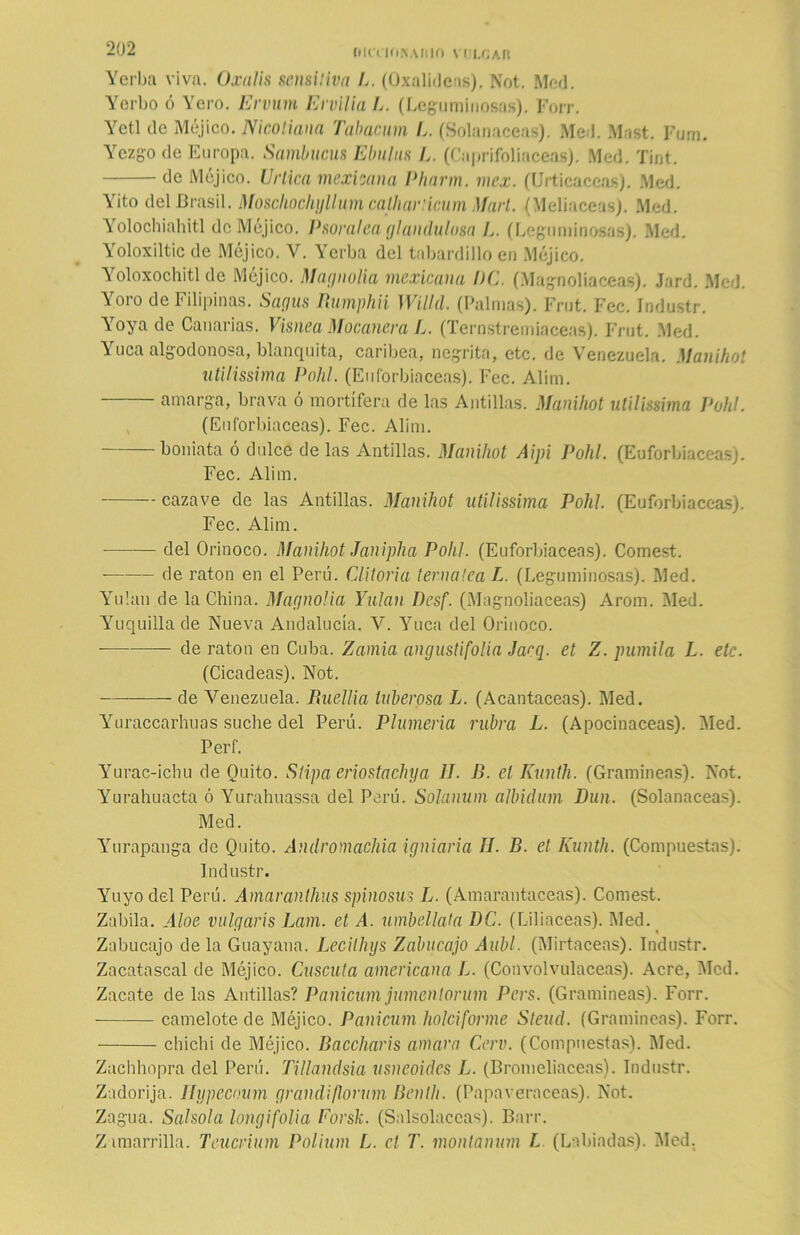 ítll'l’IOKAHIO VULGAR Yerba viva. Oxulis sensitiva l. (Oxalidcas). Not. Mcd. Yerbo ó Yero. Ervum Ervilia L. (Leguminosas). Forr. Yetl de Méjico. Nicoliana Tabaeum L. (Solanáceas). Med. Mast. Fum. Yrezgo de Europa. Sambucus Ebulus L. (Caprifoliáceas). Med. Tint. de Méjico. Urtica mexicana Pliarm. mex. (Urticáceas). .Med. Vito del Brasil. Mosckocliyllum calharticum Mari. (Meliaceas). Med. Yolochiahitl de Méjico. Psoralea glandulosa L. (Leguminosas). Med. Yoloxiltic de Méjico. V. Yerba del tabardillo en Méjico. Yoloxochitl de Méjico. Magnolia mexicana l)C. (Magnoliáceas). Jard. Med. Y oro de Filipinas. Sagus Rumphii Willd. (Palmas). Frut. Fec. Industr. Yoya de Canarias. Visnea Macanera L. (Ternstremiaceas). Frut. Med. Yruca algodonosa, blanquita, caribea, negrita, etc. de Venezuela. Manihot utilissima Pohl. (Euforbiáceas). Fec. Alim. amarga, brava ó mortífera de las Antillas. Manihot utilissima Pohl. (Euforbiáceas). Fec. Alim. boniata ó dulce délas Antillas. Manihot Aipi Pohl. (Euforbiáceas). Fec. Alim. cazave de las Antillas. Manihot utilissima Pohl. (Euforbiáceas). Fec. Alim. del Orinoco. Manihot Janiphai Pohl (Euforbiáceas). Comest. — de ratón en el Perú. Clitoria tema lea L. (Leguminosas). Med. Yulan de la China. Magnolia Yulan Desf. (Magnoliáceas) Arom. Med. Yuquillade Nueva Andalucía. V. Yuca del Orinoco. de ratón en Cuba. Zamia angustifolia Jarq. et Z. pumita L. etc. (Cicadeas). Not. de Venezuela. Ruellia tuberosa L. (Acantáceas). Med. Yuraccarhuas suche del Perú. Plumería rubra L. (Apocinaceas). Med. Perf. Yurac-ichu de Quito. Stipa eriostachya II. B. el Kunth. (Gramíneas). Not. Yurahuacta ó Yurahuassa del Perú. Solanum albidum Dan. (Solanáceas). Med. Yurapanga de Quito. Andromachia igniaria II. B. et Kunth. (Compuestas). Industr. Yuyo del Perú. Amaranlhus spinosus L. (Amarantaceas). Comest. Zabila. Aloe vulgaris Lam. et A. umbellata DC. (Liliáceas). Med. _ Zabucajo déla Guayana. Lecilhys Zabucajo Aubl. (Mirtáceas). Industr. Zacatascal de Méjico. Cuscuta americana L. (Convolvuláceas). Acre, Mcd. Zacate de las Antillas? Panicum jumenlorum Pers. (Gramíneas). Forr. camelote de Méjico. Panicum holciforme Steud. (Gramíneas). Forr. chichi de Méjico. Baccharis amara Cerv. (Compuestas). Med. Zachhopra del Perú. Tillandsia usneoidcs L. (Bromeliaceas). Industr. Zadorija. Ilypecoum grandiflorum Benth. (Papaveráceas). Not. Zagua. Salsola longifolia Forsk. (Salsolaceas). Barr. Zamarrilla. Teucrium Polium L. el T. montanum L (Labiadas). Med.