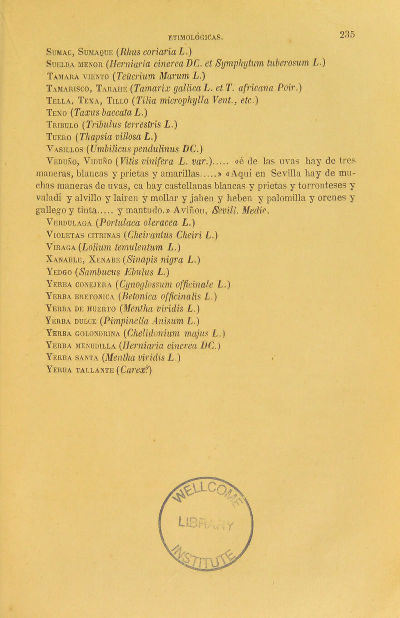 Sumac, Sumaque (Rhus coriaria L.) Suelda menor (Hemiaria cinérea DC. et Sijmphytum tuberosum L.) Tamara viento (Teücrium Marum L.) Tamarisco, Tarahe (Tamarix galilea L. et T. africana Poir.) Tella, Texa, Tillo (Tilia microphylla Vent., etc.) Texo (Taxus baccata L.) Tríbulo (Tribuías terrestris L.) Tuero (Thapsia villosa L.) Vasillos (Umbilicus pendulinus DC.) Veduño, Viduño (Vitis vinifera L. var.) «é de las uvas hay de tres maneras, blancas y prietas y amarillas » «Aquí en Sevilla hay de mu- chas maneras de uvas, ca hay castellanas blancas y prietas y torronteses y valadí y alvillo y lairen y mollar y jahen y heben y palomilla y orenes y gallego y tinta y mantudo.» Aviñon, Sevill. Medir. VerdulagA (Portulaca olerácea L.) Violetas citrinas (Cheirantus Cheiri L.) Viraga (Lolium temulentum L.) Xanable, Xenabe (Sinapis nigra L.) Yedgo (Sambucus Ebulus L.) Yerba conejera (Cynoglossum offiánale L.) Yerba bretonica (Betónica officinalis L.) Yerba de huerto (Mentila viridis L.) Yerba dulce (Pimpinella Anisum L.) Yerba golondrina (Chelidonium majas L.) Yerba menudilla (Hemiaria cinérea DC.) Yerba santa (Mentha viridis L ) Yerba tallante (Carea;?)