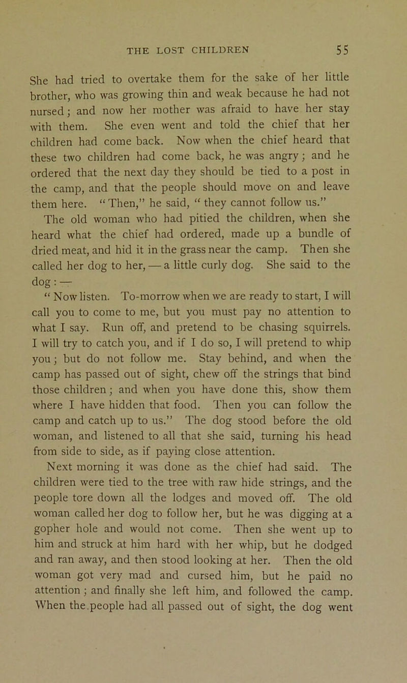 She had tried to overtake them for the sake of her little brother, who was growing thin and weak because he had not nursed; and now her mother was afraid to have her stay with them. She even went and told the chief that her children had come back. Now when the chief heard that these two children had come back, he was angry; and he ordered that the next day they should be tied to a post in the camp, and that the people should move on and leave them here. “ Then,” he said, “ they cannot follow us.” The old woman who had pitied the children, when she heard what the chief had ordered, made up a bundle of dried meat, and hid it in the grass near the camp. Then she called her dog to her, — a little curly dog. She said to the dog: — “ Now listen. To-morrow when we are ready to start, I will call you to come to me, but you must pay no attention to what I say. Run off, and pretend to be chasing squirrels. I will try to catch you, and if I do so, I will pretend to whip you; but do not follow me. Stay behind, and when the camp has passed out of sight, chew off the strings that bind those children; and when you have done this, show them where I have hidden that food. Then you can follow the camp and catch up to us.” The dog stood before the old woman, and listened to all that she said, turning his head from side to side, as if paying close attention. Next morning it was done as the chief had said. The children were tied to the tree with raw hide strings, and the people tore down all the lodges and moved off. The old woman called her dog to follow her, but he was digging at a gopher hole and would not come. Then she went up to him and struck at him hard with her whip, but he dodged and ran away, and then stood looking at her. Then the old woman got very mad and cursed him, but he paid no attention ; and finally she left him, and followed the camp. When the.people had all passed out of sight, the dog went