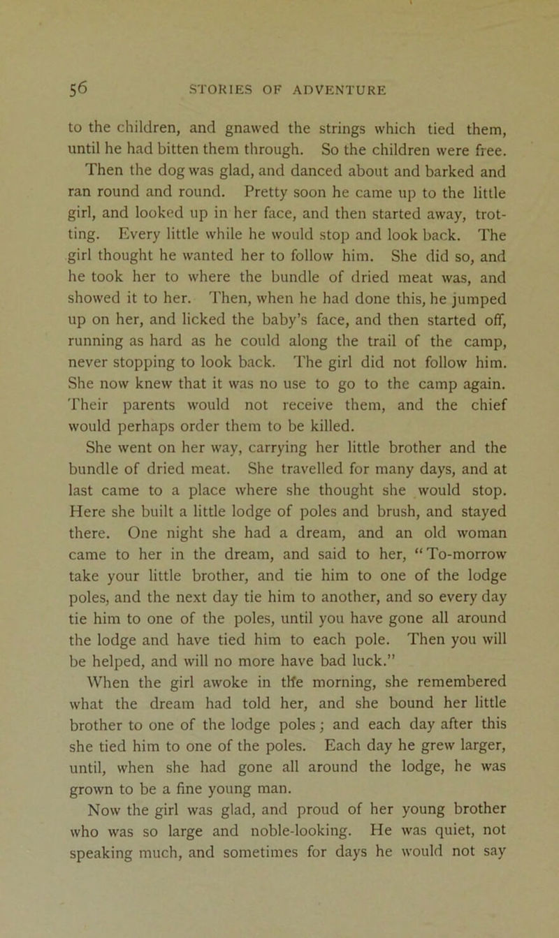 to the children, and gnawed the strings which tied them, until he had bitten them through. So the children were free. Then the dog was glad, and danced about and barked and ran round and round. Pretty soon he came up to the little girl, and looked up in her face, and then started away, trot- ting. Every little while he would stop and look back. The girl thought he wanted her to follow him. She did so, and he took her to where the bundle of dried meat was, and showed it to her. Then, when he had done this, he jumped up on her, and licked the baby’s face, and then started off, running as hard as he could along the trail of the camp, never stopping to look back. The girl did not follow him. She now knew that it was no use to go to the camp again. Their parents would not receive them, and the chief would perhaps order them to be killed. She went on her way, carrying her little brother and the bundle of dried meat. She travelled for many days, and at last came to a place where she thought she would stop. Here she built a little lodge of poles and brush, and stayed there. One night she had a dream, and an old woman came to her in the dream, and said to her, “To-morrow take your little brother, and tie him to one of the lodge poles, and the next day tie him to another, and so every day tie him to one of the poles, until you have gone all around the lodge and have tied him to each pole. Then you will be helped, and will no more have bad luck.” When the girl awoke in the morning, she remembered what the dream had told her, and she bound her little brother to one of the lodge poles; and each day after this she tied him to one of the poles. Each day he grew larger, until, when she had gone all around the lodge, he was grown to be a fine young man. Now the girl was glad, and proud of her young brother who was so large and noble-looking. He was quiet, not speaking much, and sometimes for days he would not say