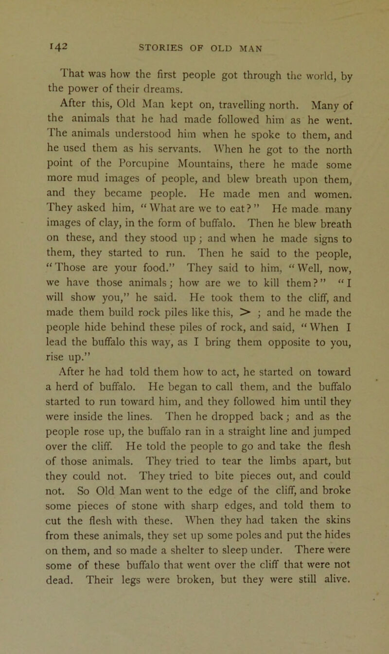That was how the first people got through tlie world, by the power of their dreams. After this, Old Man kept on, travelling north. Many of the animals that he had made followed him as he went. The animals understood him when he spoke to them, and he used them as his servants. When he got to the north point of the Porcupine Mountains, there he made some more mud images of people, and blew breath upon them, and they became people. He made men and women. They asked him, “ What are we to eat ? ” He made many images of clay, in the form of buffalo. Then he blew breath on these, and they stood up; and when he made signs to them, they started to run. Then he said to the people, “ Those are your food.” They said to him, “ Well, now, we have those animals; how are we to kill them?” “I will show you,” he said. He took them to the cliff, and made them build rock piles like this, >• ; and he made the people hide behind these piles of rock, and said, “ When I lead the buffalo this way, as I bring them opposite to you, rise up.” After he had told them how to act, he started on toward a herd of buffalo. He began to call them, and the buffalo started to run toward him, and they followed him until they were inside the lines. Then he dropped back; and as the people rose up, the buffalo ran in a straight line and jumped over the cliff. He told the people to go and take the flesh of those animals. They tried to tear the limbs apart, but they could not. They tried to bite pieces out, and could not. So Old Man went to the edge of the cliff, and broke some pieces of stone with sharp edges, and told them to cut the flesh with these. When they had taken the skins from these animals, they set up some poles and put the hides on them, and so made a shelter to sleep under. There were some of these buffalo that went over the cliff that were not dead. Their legs were broken, but they were still alive.