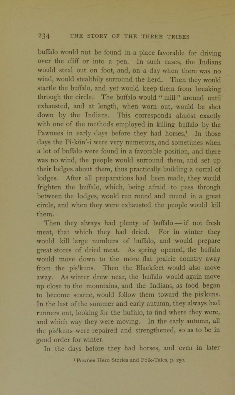 buffalo would not be found in a place favorable for driving over the cliff or into a pen. In such cases, the Indians would steal out on foot, and, on a day when there was no wind, would stealthily surround the herd. Then they would startle the buffalo, and yet would keep them from breaking through the circle. The buffalo would “ mill ” around until exhausted, and at length, when worn out, would be shot down by the Indians. This corresponds almost exactly with one of the methods employed in killing buffalo by the Pawnees in early days before they had horses.' In those days the Pi-kun'-i were very numerous, and sometimes when a lot of buffalo were found in a favorable position, and there was no wind, the people would surround them, and set up their lodges about them, thus practically building a corral of lodges. After all preparations had been made, they would frighten the buffalo, which, being afraid to pass through between the lodges, would run round and round in a great circle, and when they were exhausted the people would kill them. Then they always had plenty of buffalo — if not fresh meat, that which they had dried. For in winter they would kill large numbers of buffalo, and would prepare great stores of dried meat. As spring opened, the buffalo would move down to the more flat prairie country away from the pis'kuns. Then the Blackfeet would also move away. As winter drew near, the buffalo would again move up close to the mountains, and the Indians, as food began to become scarce, would follow them toward the pis'kuns. In the last of the summer and early autumn, they always had runners out, looking for the buffalo, to find where they were, and which way they were moving. In the early autumn, all the pis'kuns were repaired and strengthened, so as to be in good order for winter. In the days before they had horses, and even in later 1 Pawnee Hero Stories and Folk-Tales, p. 250.