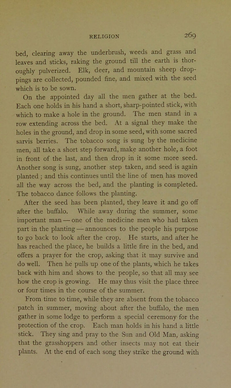 bed, clearing away the underbrush, weeds and grass and leaves and sticks, raking the ground till the earth is thor- oughly pulverized. Elk, deer, and mountain sheep drop- pings are collected, pounded fine, and mixed with the seed which is to be sown. On the appointed day all the men gather at the bed. Each one holds in his hand a short, sharp-pointed stick, with which to make a hole in the ground. The men stand in a row extending across the bed. At a signal they make the holes in the ground, and drop in some seed, with some sacred sarvis berries. The tobacco song is sung by the medicine men, all take a short step forward, make another hole, a foot in front of the last, and then drop in it some more seed. Another song is sung, another step taken, and seed is again planted; and this continues until the line of men has moved all the way across the bed, and the planting is completed. The tobacco dance follows the planting. After the seed has been planted, they leave it and go off after the buffalo. While away during the summer, some important man — one of the medicine men who had taken part in the planting — announces to the people his purpose to go back to look after the crop. He starts, and after he has reached the place, he builds a little fire in the bed, and offers a prayer for the crop, asking that it may survive and do well. Then he pulls up one of the plants, which he takes back with him and shows to the people, so that all may see how the crop is growing. He may thus visit the place three or four times in the course of the summer. From time to time, while they are absent from the tobacco patch in summer, moving about after the buffalo, the men gather in some lodge to perform a special ceremony for the protection of the crop. Each man holds in his hand a little stick. They sing and pray to the Sun and Old Man, asking that the grasshoppers and other insects may not eat their plants. At the end of each song they strike the ground with