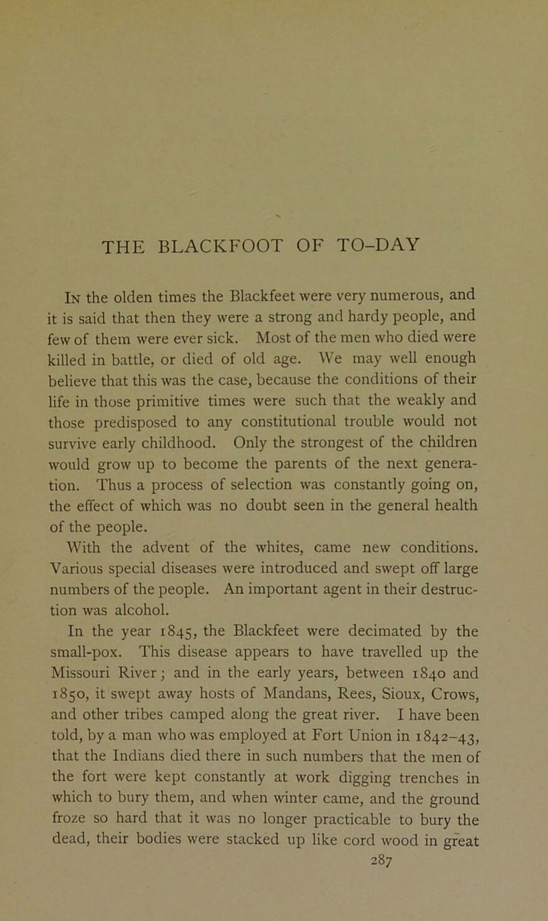 THE BLACKFOOT OF TO-DAY In the olden times the Blackfeet were very numerous, and it is said that then they were a strong and hardy people, and few of them were ever sick. Most of the men who died were killed in battle, or died of old age. We may well enough believe that this was the case, because the conditions of their life in those primitive times were such that the weakly and those predisposed to any constitutional trouble would not survive early childhood. Only the strongest of the children would grow up to become the parents of the next genera- tion. Thus a process of selection was constantly going on, the effect of which was no doubt seen in the general health of the people. With the advent of the whites, came new conditions. Various special diseases were introduced and swept off large numbers of the people. An important agent in their destruc- tion was alcohol. In the year 1845, Blackfeet were decimated by the small-pox. This disease appears to have travelled up the Missouri River; and in the early years, between 1840 and 1850, it swept away hosts of Mandans, Rees, Sioux, Crows, and other tribes camped along the great river. I have been told, by a man who was employed at Fort Union in 1842-43, that the Indians died there in such numbers that the men of the fort were kept constantly at work digging trenches in which to bury them, and when winter came, and the ground froze so hard that it was no longer practicable to bury the dead, their bodies were stacked up like cord wood in great